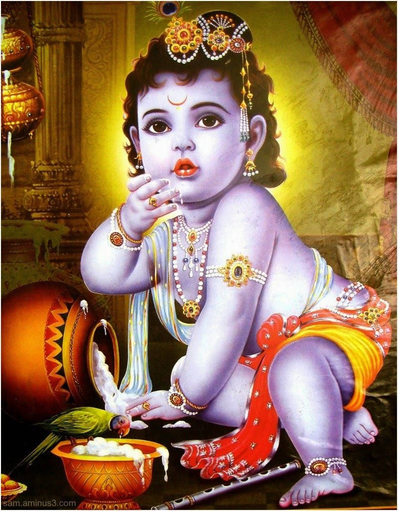 Bal Krishna 桌布 壁紙 — 一個紫色皮膚、佩戴金飾的神聖小孩，坐在鸚鵡和笛子旁邊，手持一碗牛奶。