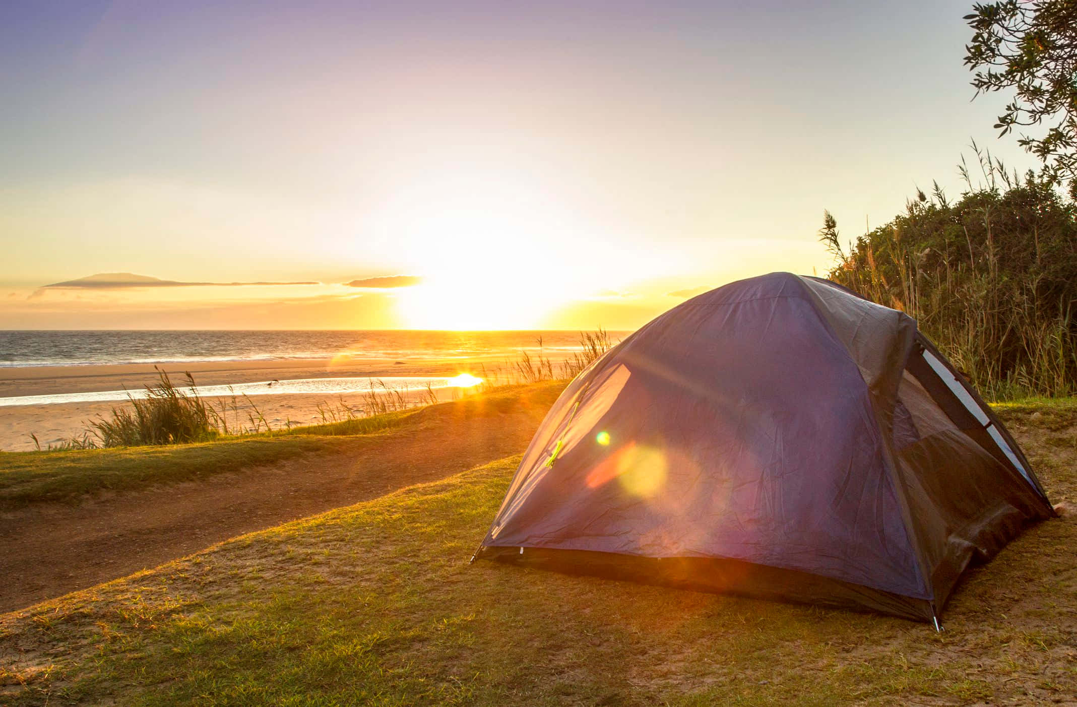 Camping 桌布 壁紙 — 一個紫色露營帳篷在日落光芒中閃耀，位於俯瞰平靜海洋地平線的草丘上。