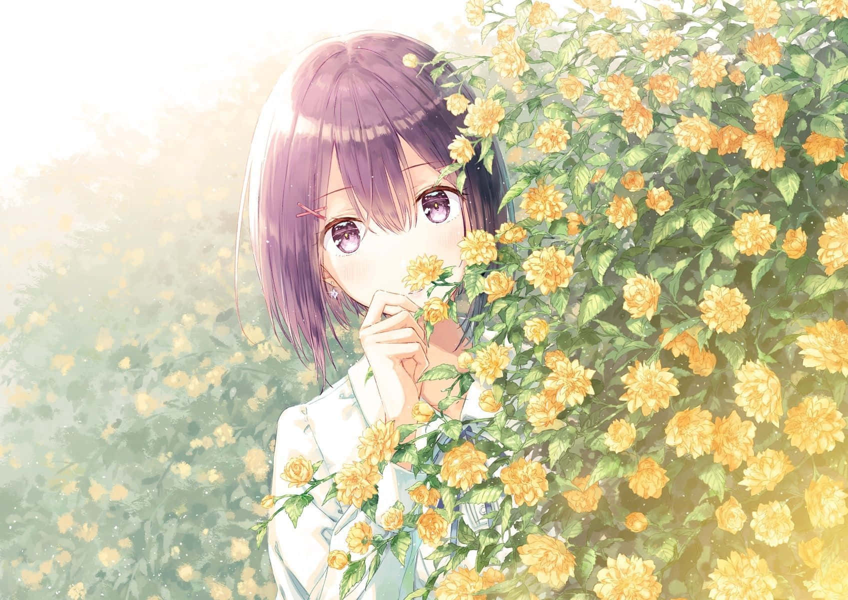 Anime Flower 桌布 壁紙 — 一個紫髮動漫女孩害羞地從一叢沐浴在柔和金色陽光下的鮮黃色玫瑰叢後探出頭來。