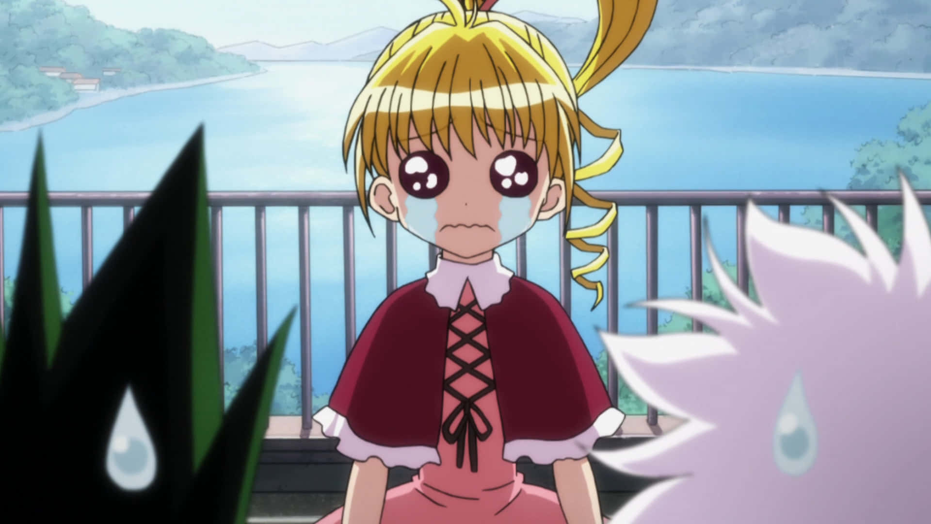 Hunter X Hunter Bisky 桌布 壁紙 — 一個紮著金色雙馬尾的哭泣動漫女孩站在陽台上，俯瞰著平靜的藍色湖泊和遠處的山丘。