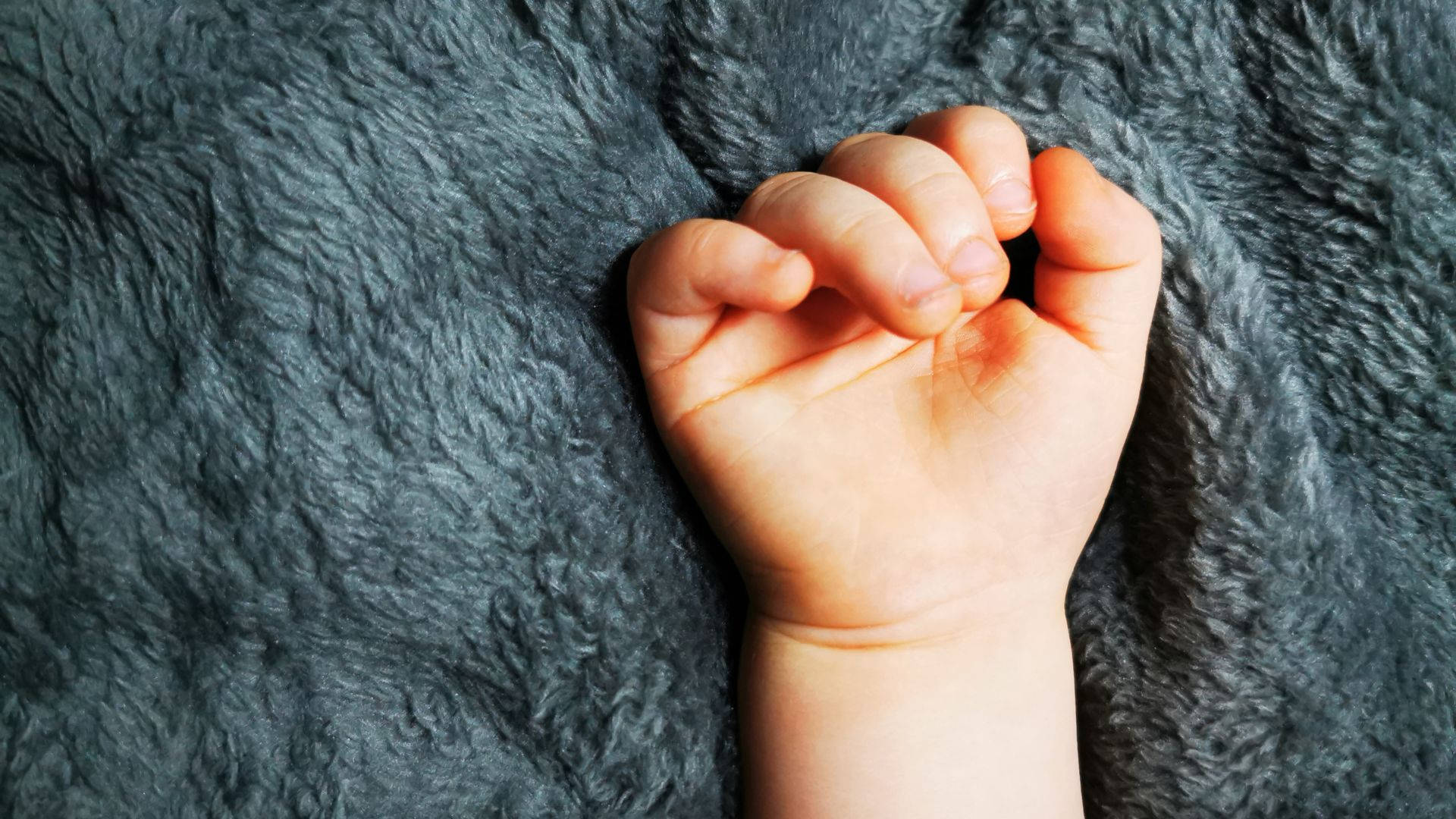 hand 桌布 壁紙 — 一個細小嬰兒的手輕輕握著柔軟的灰色毛絨毯子，溫柔的特寫。