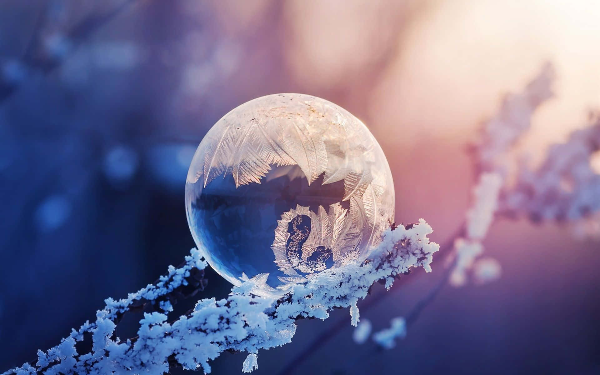 Crystal Ball 桌布 壁紙 — 一個結霜的冰球放在積雪的樹枝上，背景是柔和的紫色和粉紅色冬日天空。
