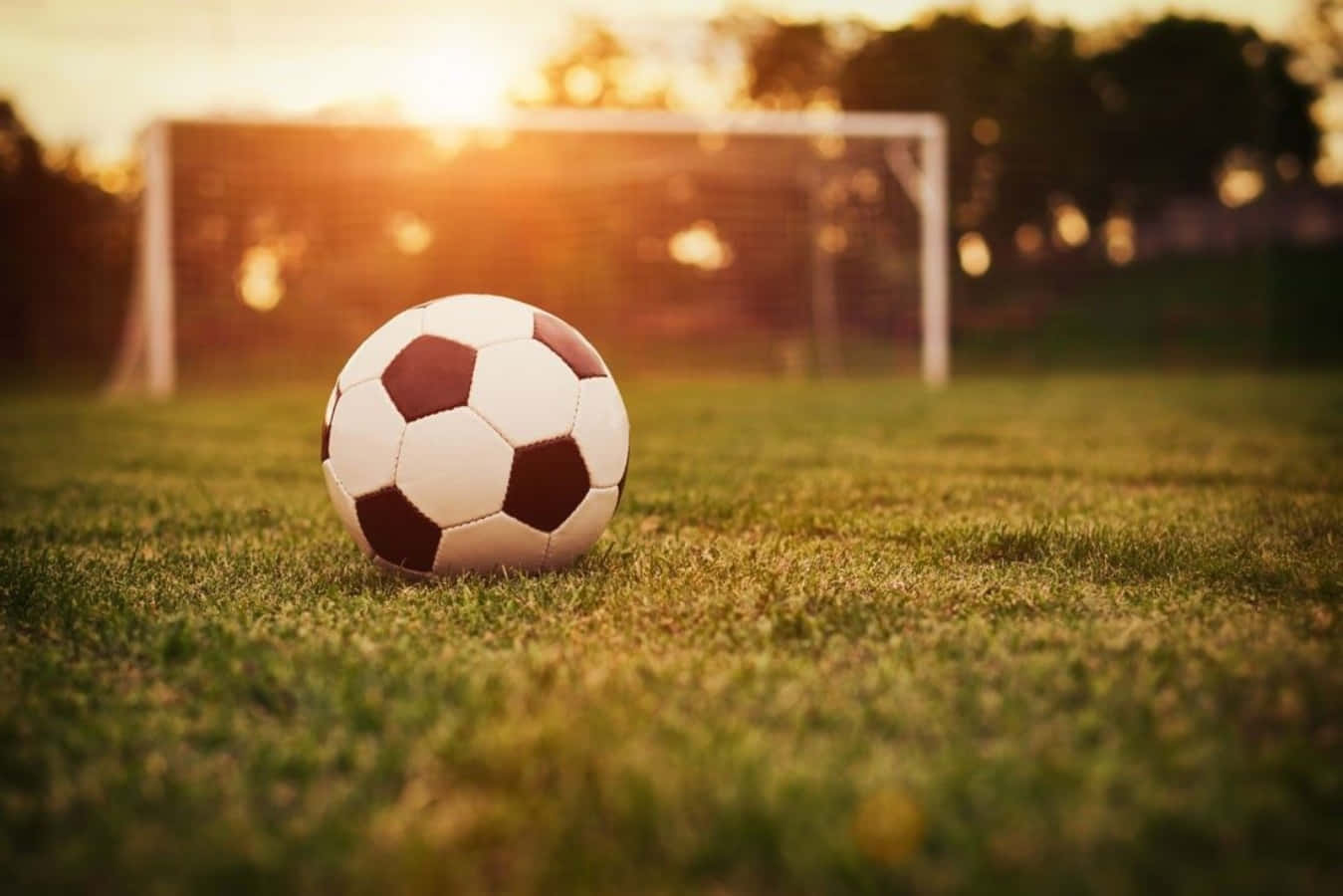 Soccer Aesthetic 桌布 壁紙 — 一個經典的黑白足球放在充滿活力的綠色草地上，背景有模糊的球門柱和溫暖的日落餘暉。