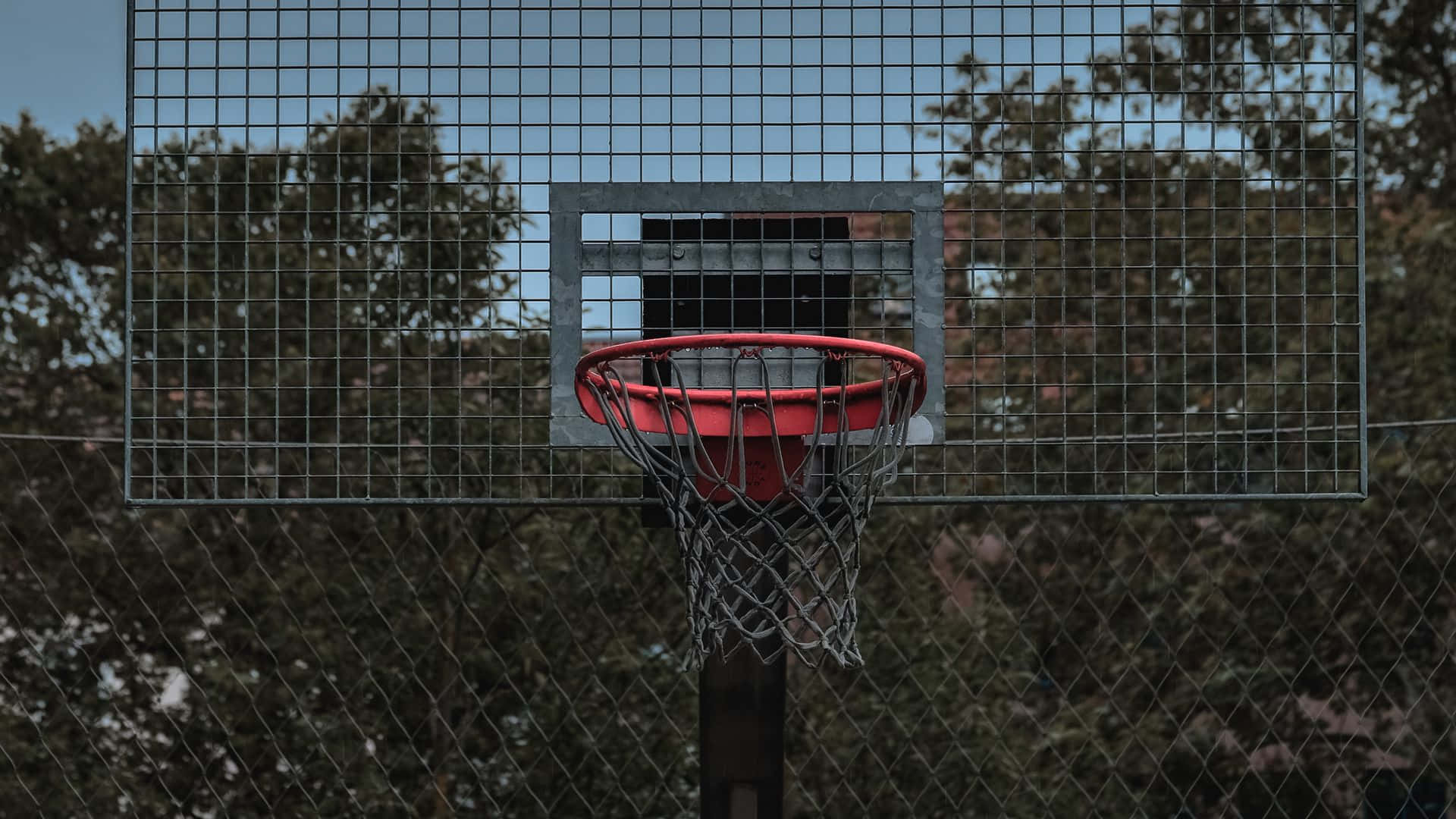 1080p Basketball 桌布 壁紙 — 一個經過風化的紅色籃球框，透過鐵絲網圍欄看到，後面有樹木柔焦。