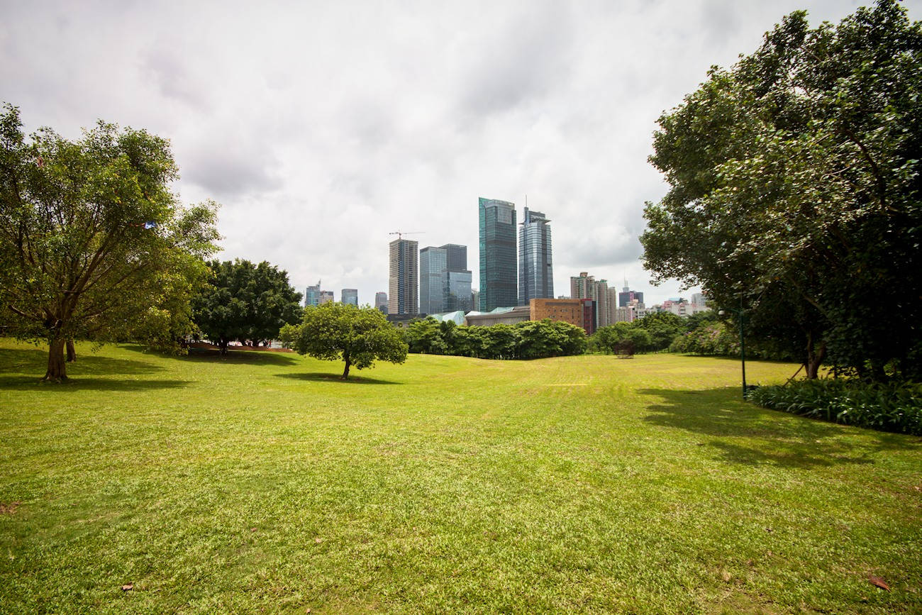 Shenzhen 桌布 壁紙 — 一個綠意盎然的公園，樹木散落其間，在陰天襯托下勾勒出遠處的城市天際線。