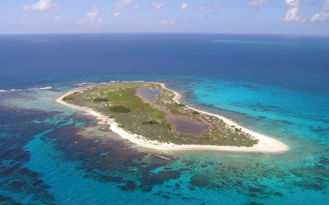 Jamaican Island 桌布 壁紙 — 一個綠意盎然的小島，擁有白色沙灘，周圍環繞著充滿活力的碧綠和深藍色海水。