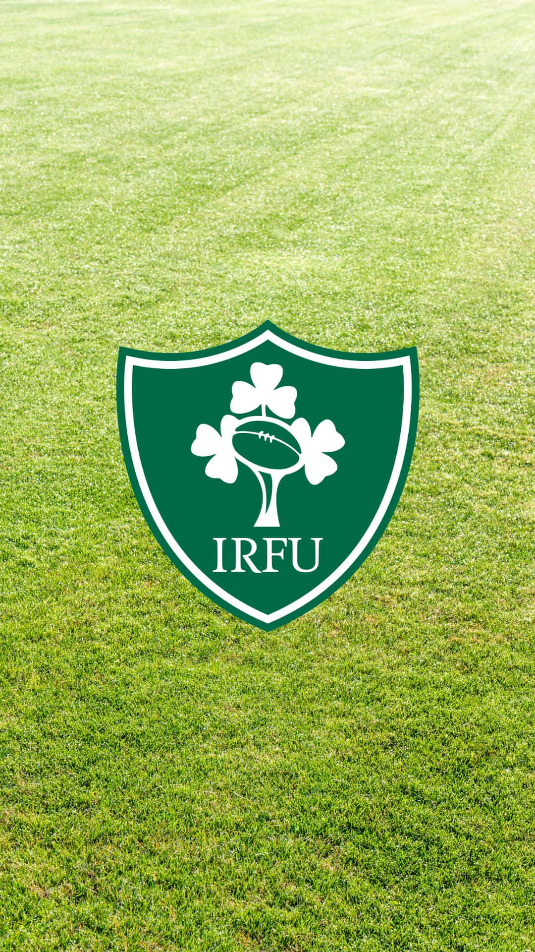 Ireland Rugby 桌布 壁紙 — 一個綠色和白色的IRFU橄欖球聯盟標誌，在明亮的日光下居中於充滿活力的草地上。