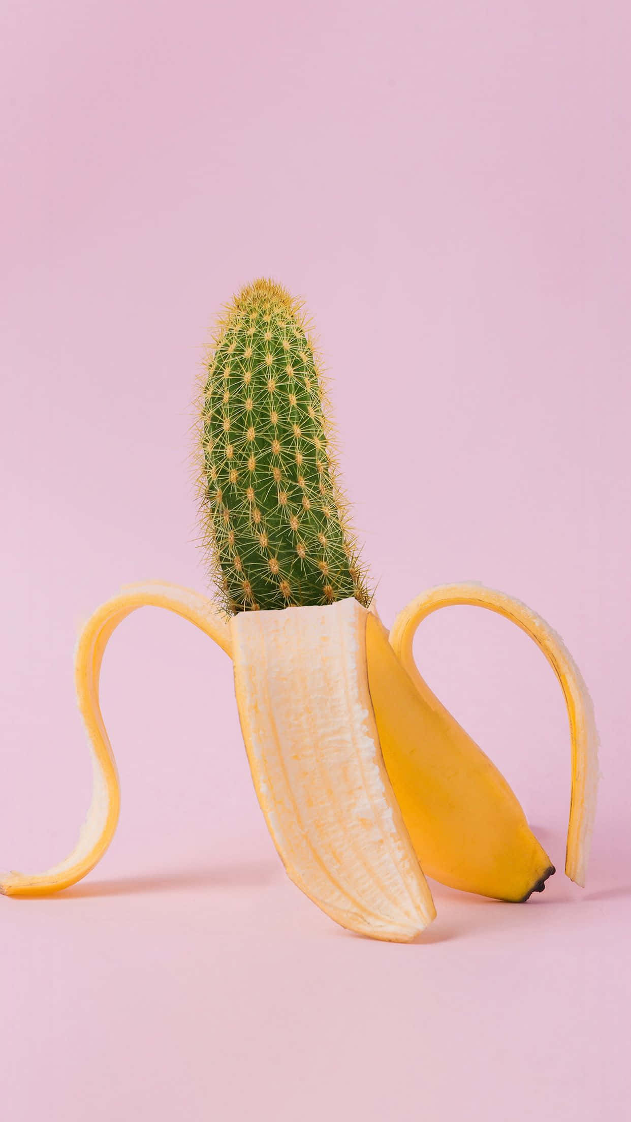 Cactus 桌布 壁紙 — 一個綠色多刺的仙人掌從剝皮的黃色香蕉中冒出，背景是柔和的粉紅色。