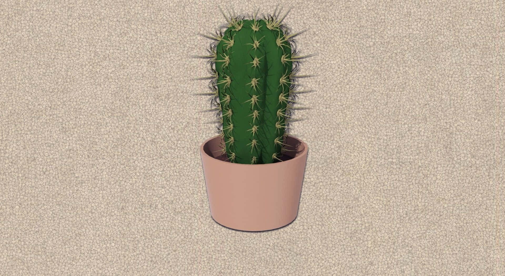 Cactus 桌布 壁紙 — 一個綠色多刺的仙人掌放在粉紅色花盆中，居中放置在帶紋理的米色表面上。