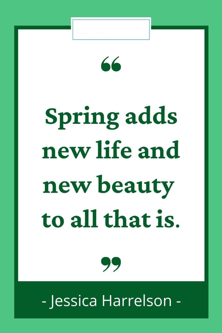 Spring Quotes 桌布 壁紙 — 一個綠色夾板夾著一張白紙，上面有深綠色文字，內容是關於春天更新的引言。