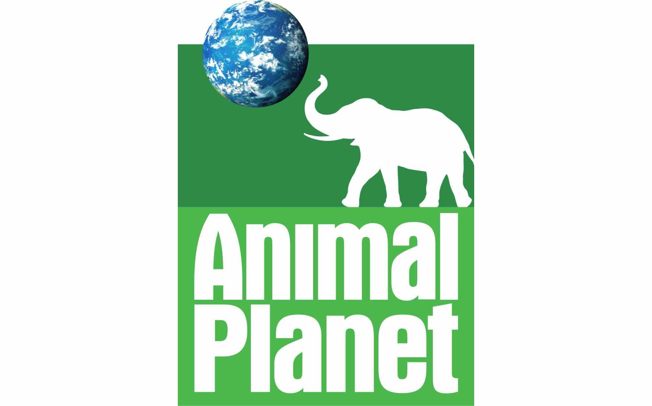 動物星球 桌布 壁紙 — 一個綠色標誌，上面有白色大象剪影和藍色地球儀，位於粗體白色「Animal Planet」文字上方。