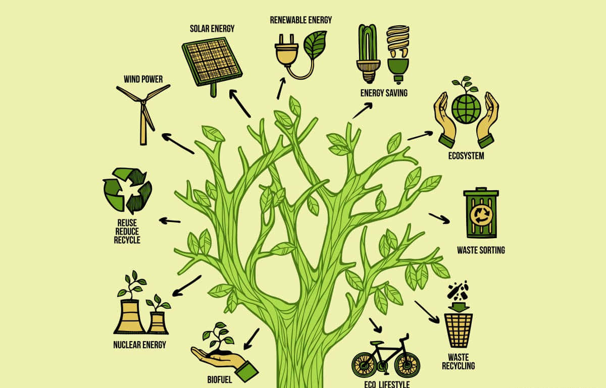 Green Technology 桌布 壁紙 — 一個綠色樹狀圖說明了可持續實踐，如太陽能、風能、回收和生態生活方式，帶有標籤的圖標從樹幹分支出來。