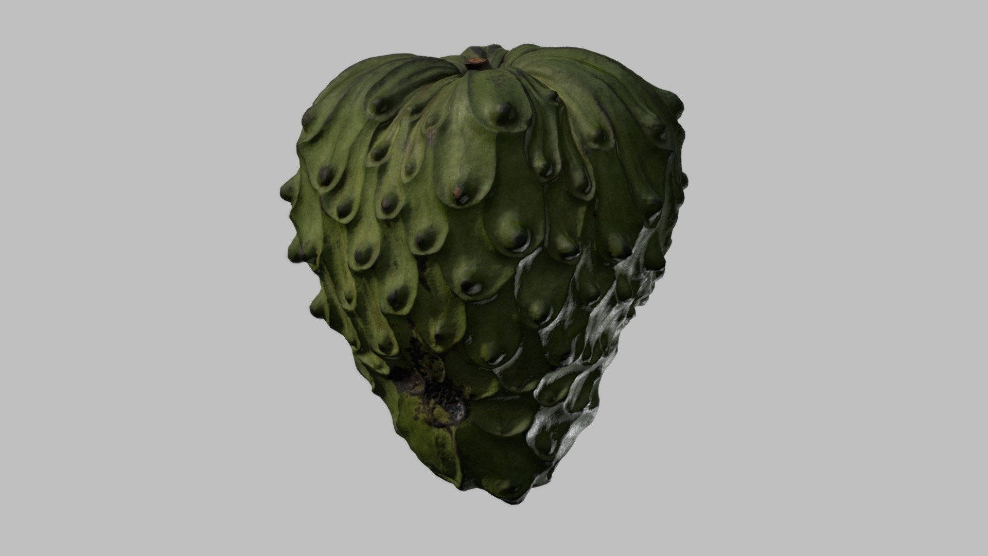 Fruit 桌布 壁紙 — 一個綠色牛油果的詳細3D渲染，表面凹凸不平，紋理粗糙，背景為純灰色。