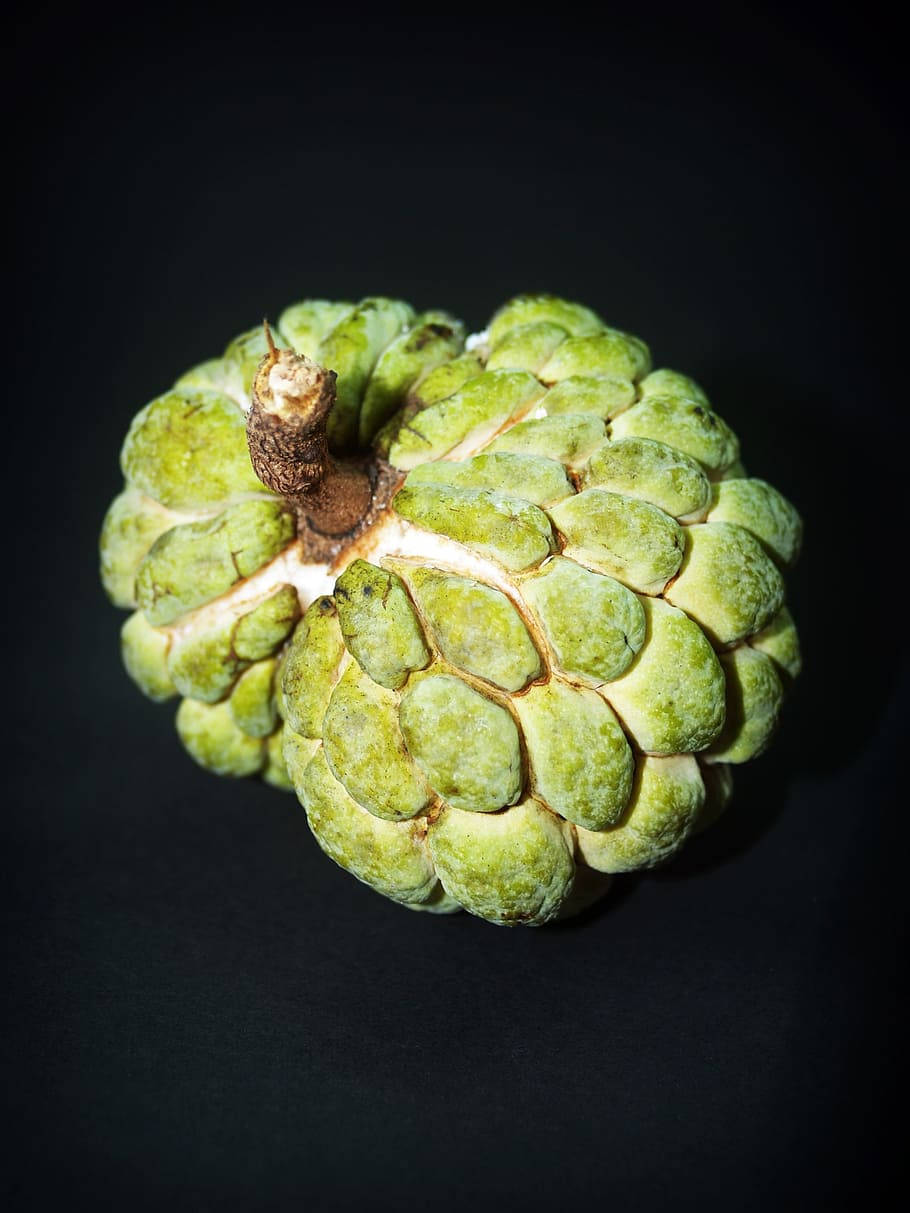 Fruit 桌布 壁紙 — 一個綠色的牛油果（番荔枝）有紋理的部分，居中放在黑色背景上。