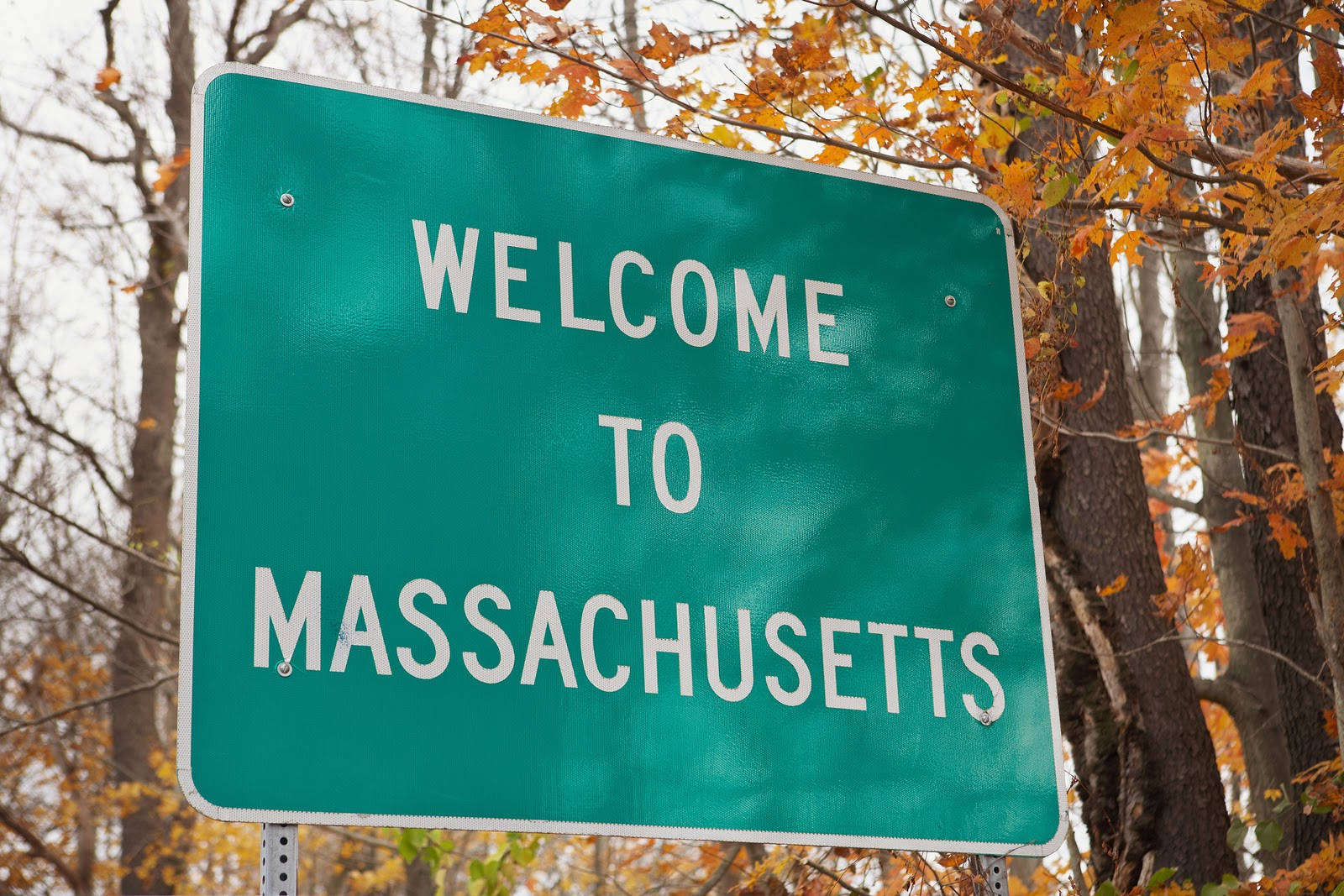 Massachusetts 桌布 壁紙 — 一個綠色的麻薩諸塞州歡迎標誌，被秋日金葉樹木環繞，襯著柔和天空。