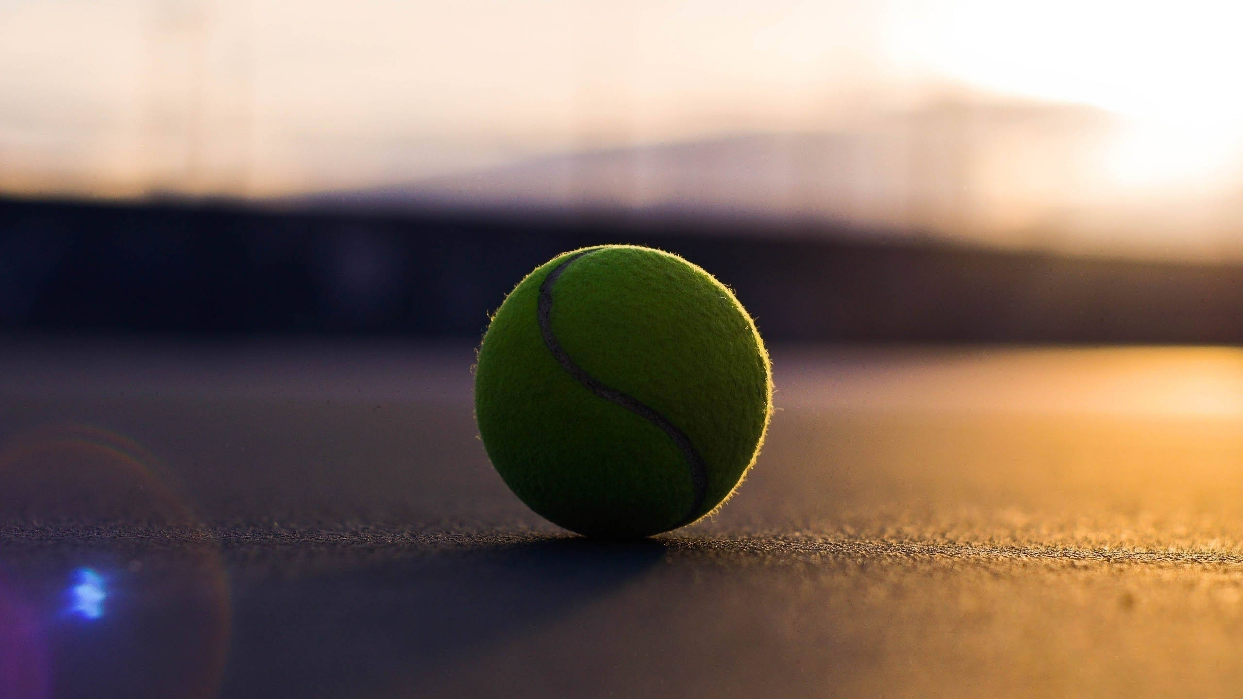 Tennis 桌布 壁紙 — 一個綠色網球靜靜地躺在球場上，金色的夕陽光芒為場景披上溫暖的光輝。