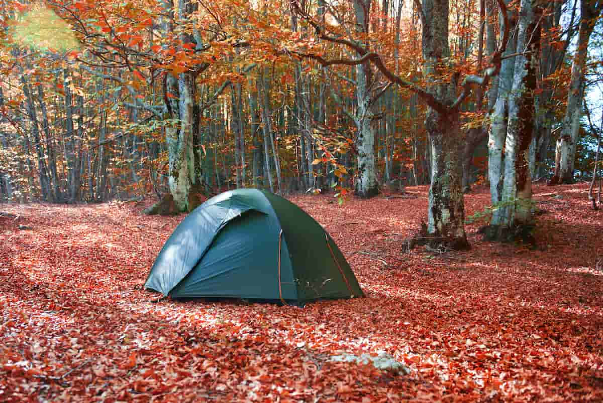 Fall Camping 桌布 壁紙 — 一個綠色露營帳篷，坐落在鋪滿鮮豔紅色秋葉的森林中，陽光斑駁。