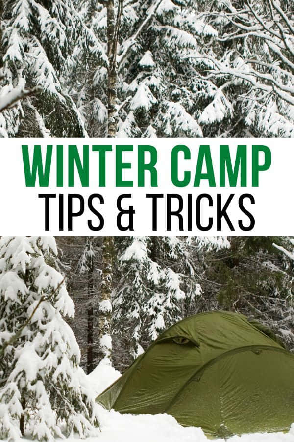 Winter Camping 桌布 壁紙 — 一個綠色露營帳篷，藏在冬季森林中積雪深厚的雪地裡，四周是掛滿白雪的常青樹。