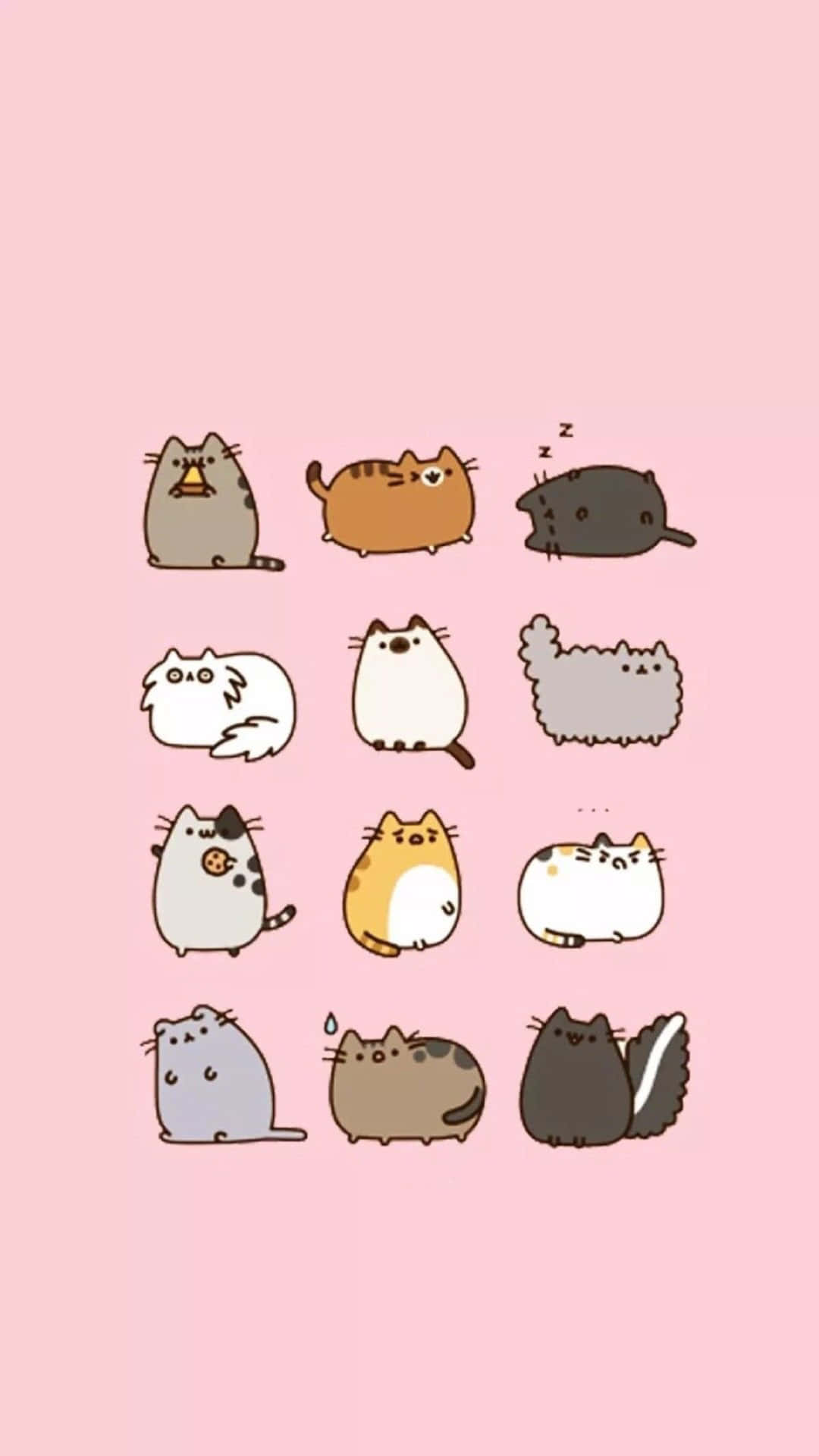 pusheen 動圖 桌布 壁紙 — 一個網格，包含十二隻可愛卡通貓咪，姿勢和顏色各異，背景為柔和粉紅色。