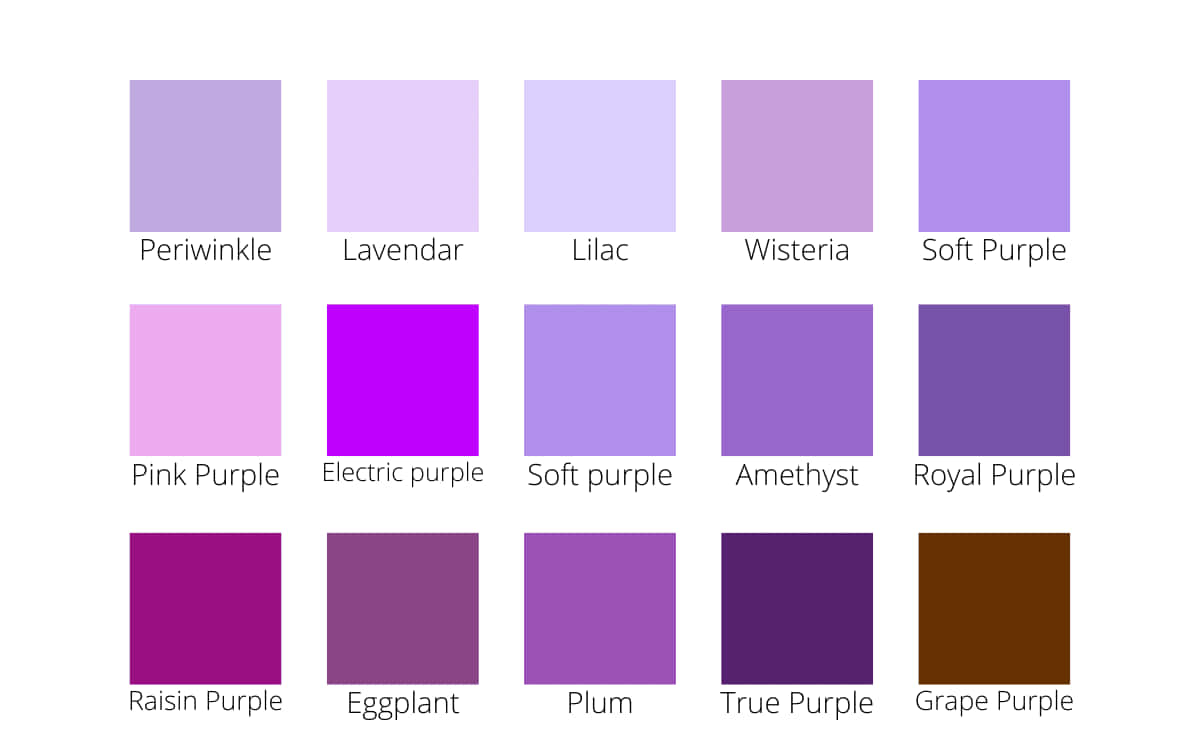 Color Palette 桌布 壁紙 — 一個網格，包含十種不同的紫色色板，並在白色背景上標有其名稱。