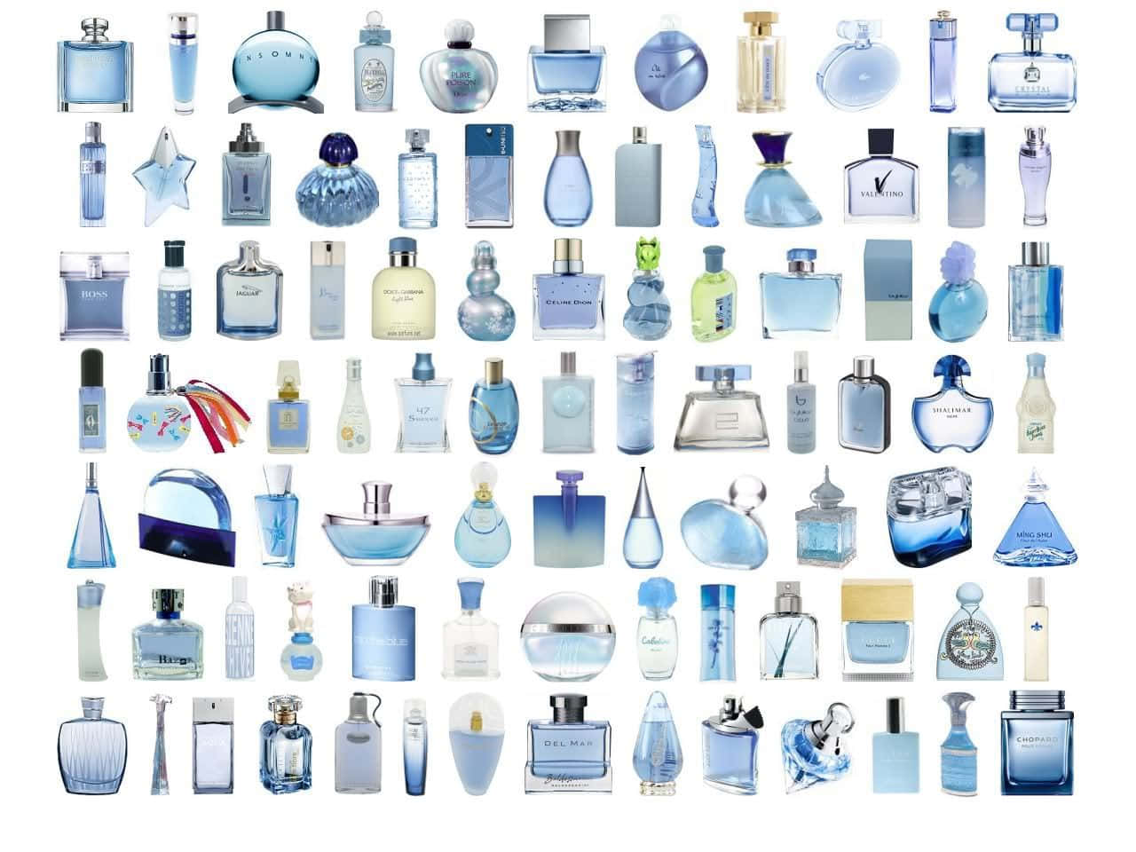 Fragrance 桌布 壁紙 — 一個網格，展示多種香水瓶，主要以藍色調為主，背景為潔淨的白色。