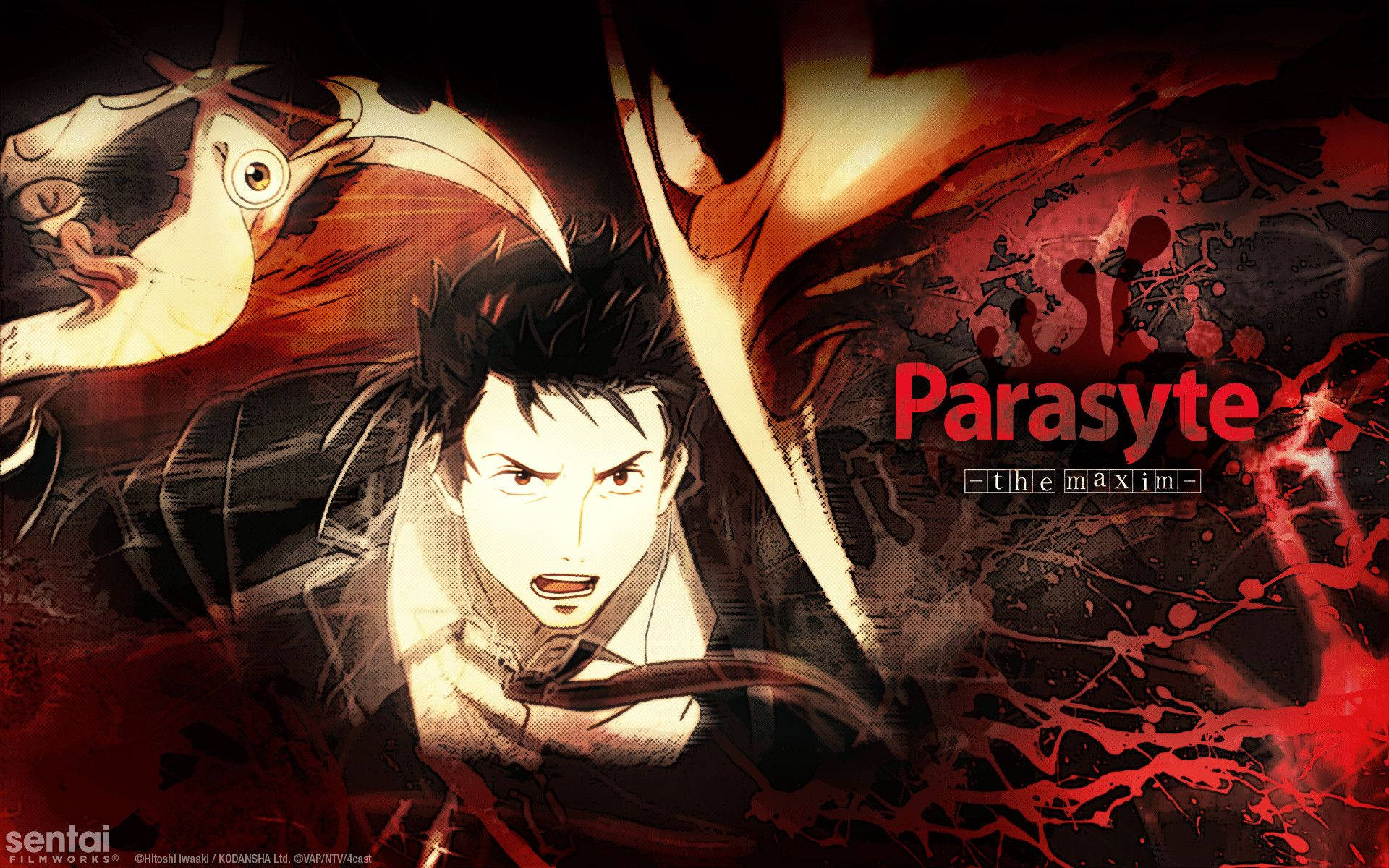 Parasyte 桌布 壁紙 — 一個緊張的動漫角色，頭髮尖刺，直視前方，寄生生物從紅色飛濺中浮現，背景黑暗如火。
