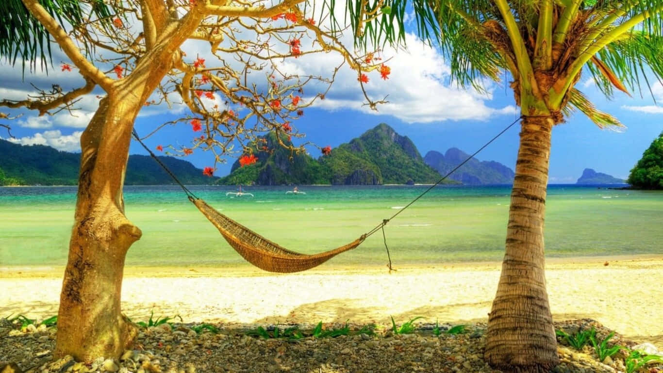 HD Beach 桌布 壁紙 — 一個編織吊床掛在一棵開花的樹和一棵棕櫚樹之間，位於陽光明媚的熱帶海灘上，有碧綠的海水和遠處的綠色山脈，在藍天下。