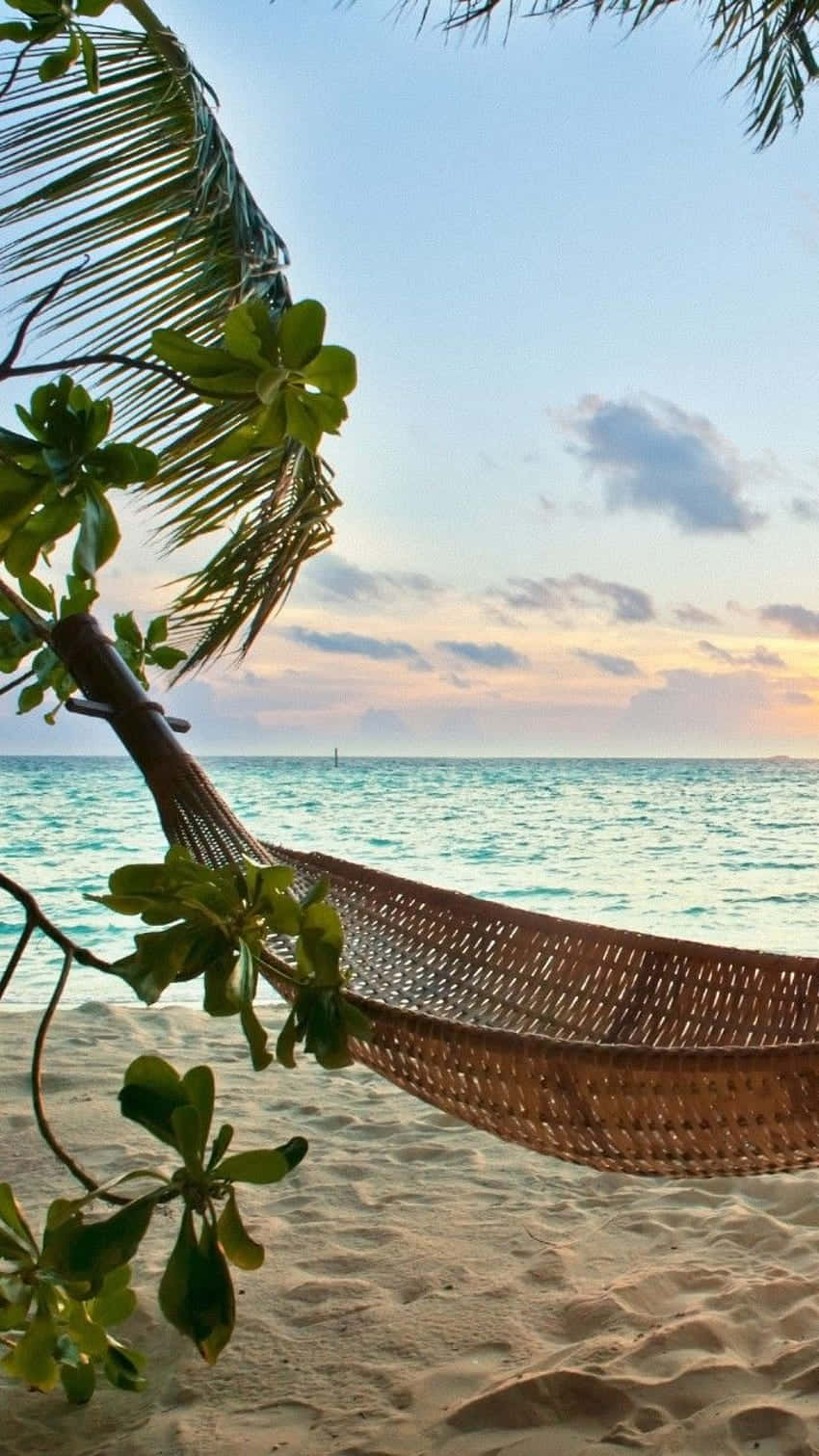 Beach Getaway 桌布 壁紙 — 一個編織吊床掛在沙灘的棕櫚樹之間，夕陽落在碧綠的海水上。