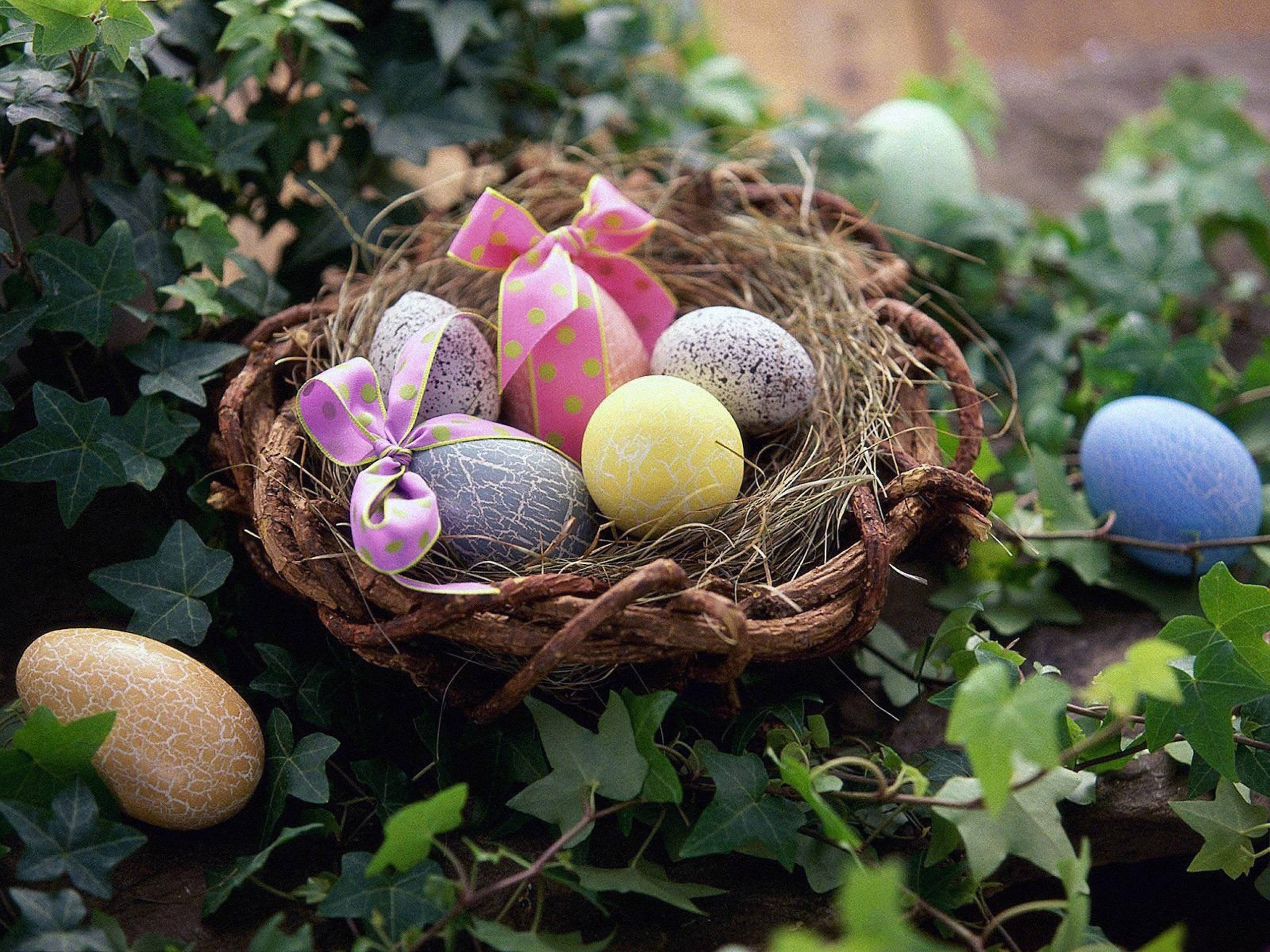 Cute Easter 桌布 壁紙 — 一個編織籃子盛載著色彩繽紛的復活節蛋，飾有粉紅色蝴蝶結，藏在茂密的綠色常春藤中。