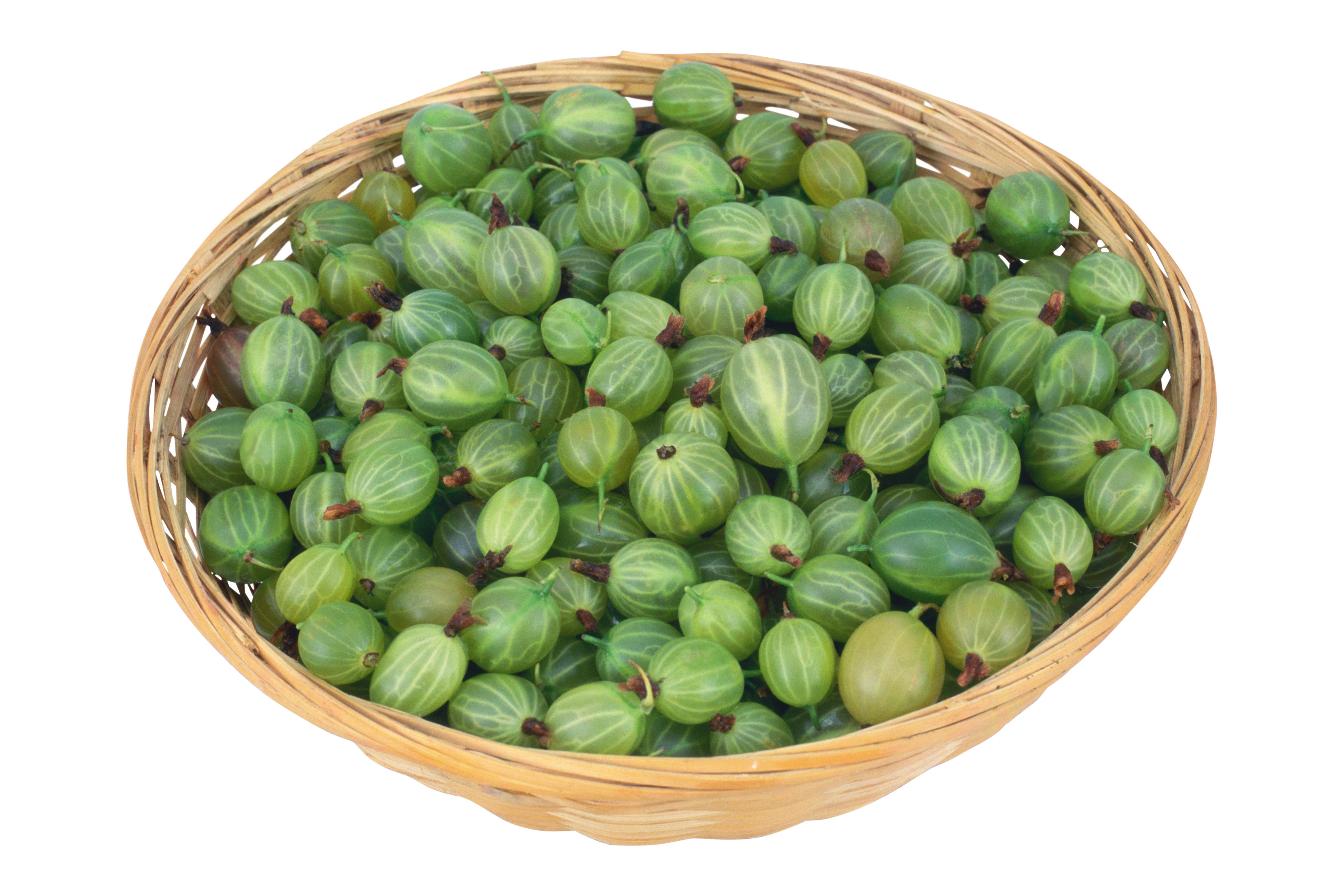 Fruits 桌布 壁紙 — 一個編織籃子裝滿新鮮的綠色鵝莓，展示其紋理表皮和小莖。
