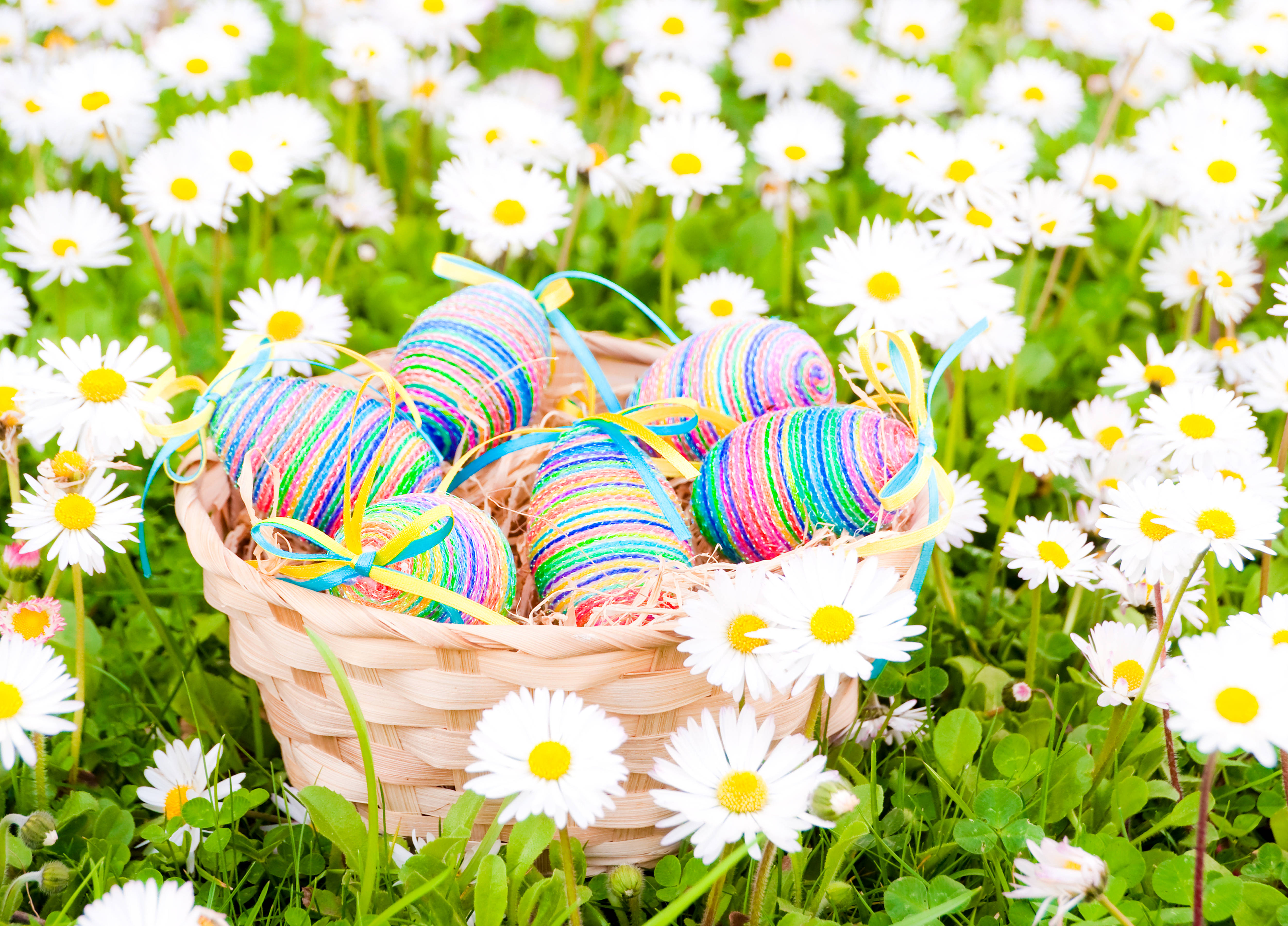 Cute Easter 桌布 壁紙 — 一個編織籃子裝滿色彩鮮豔的條紋復活節蛋，安放在陽光明媚的草地上盛開的白色雛菊之間。
