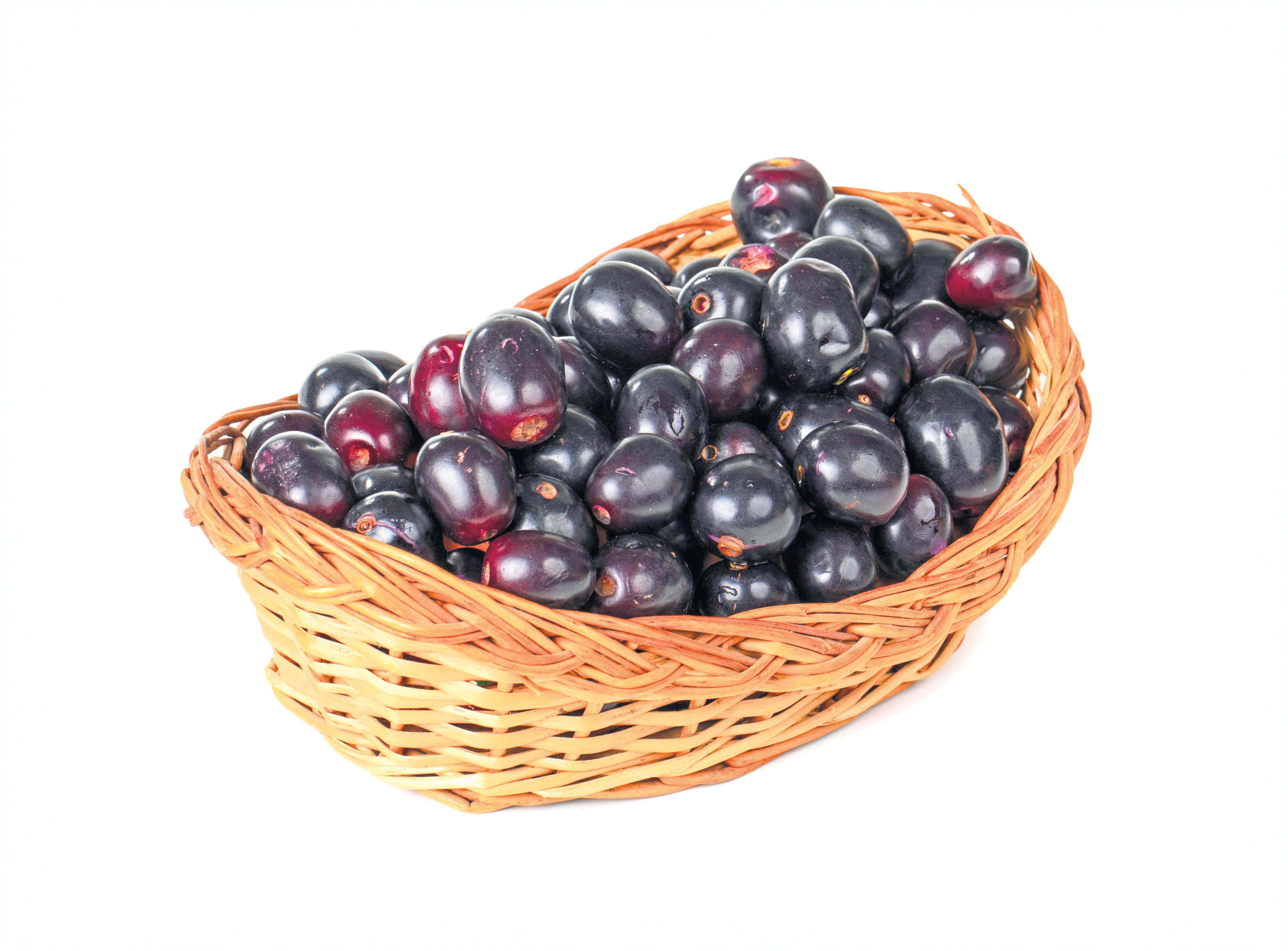 Fruit 桌布 壁紙 — 一個編織籃子裡裝滿了飽滿的深紫色李子，背景是純白色。