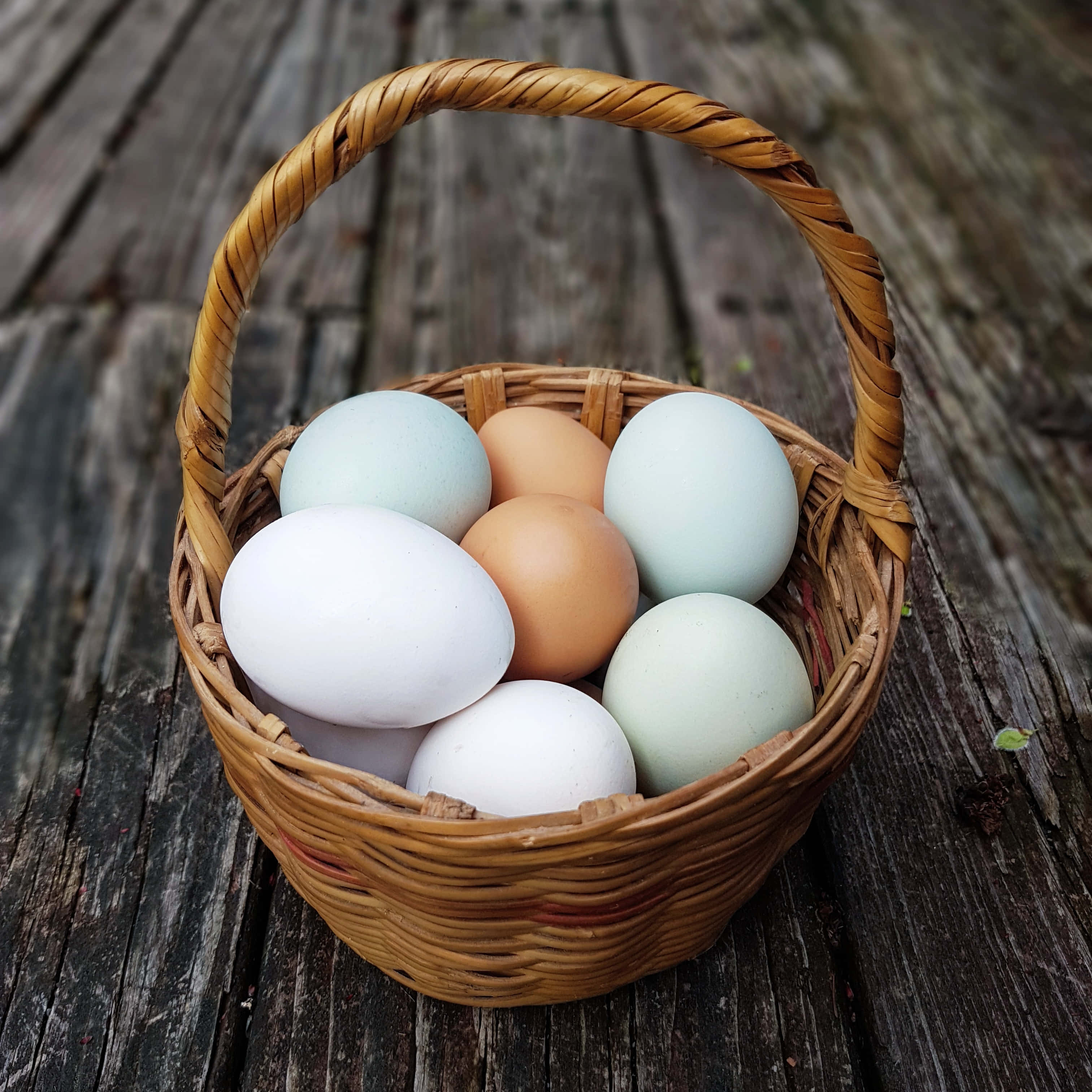 Eggs 桌布 壁紙 — 一個編織籃子裡裝著各種粉彩和棕色雞蛋，放在風化的木甲板上。