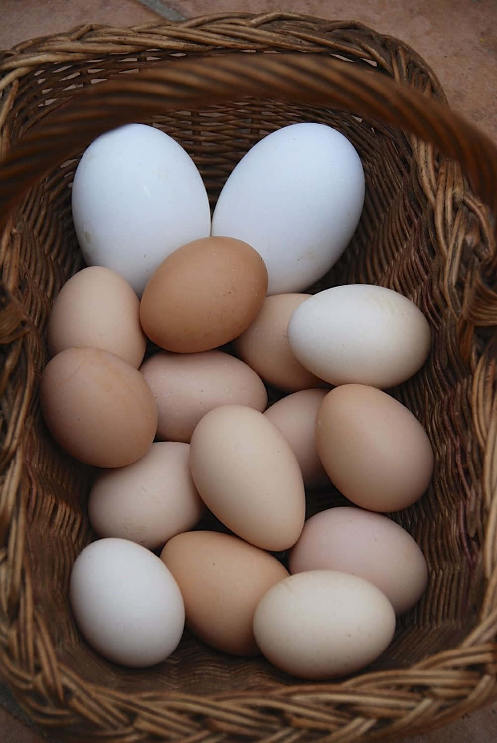 Egg 桌布 壁紙 — 一個編織籃子裡裝著白色和棕色雞蛋的混合，在柔和自然光中緊密相依。
