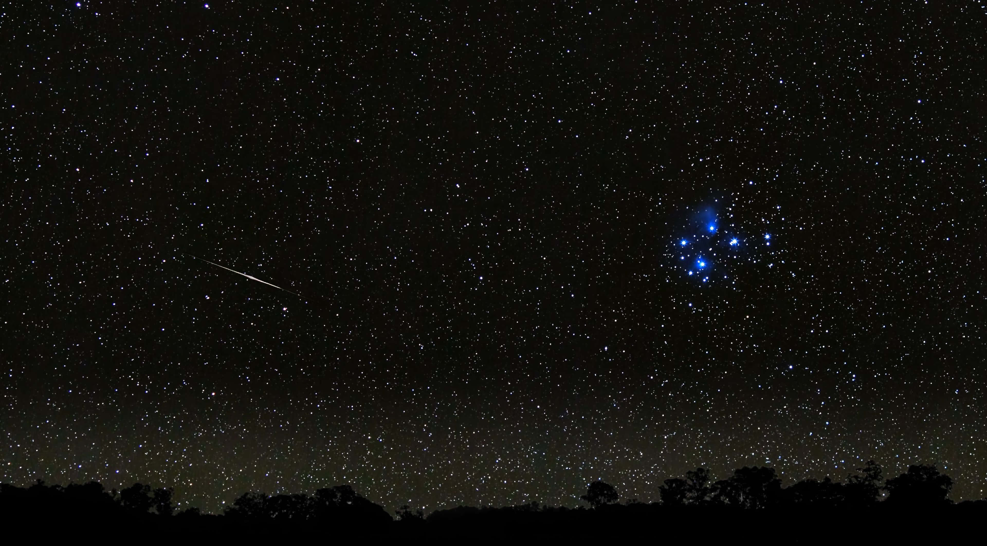 夜空 桌布 壁紙 — 一個繁星點點的夜空，一顆流星劃過明亮的藍色星團，在黑暗的樹線上方。