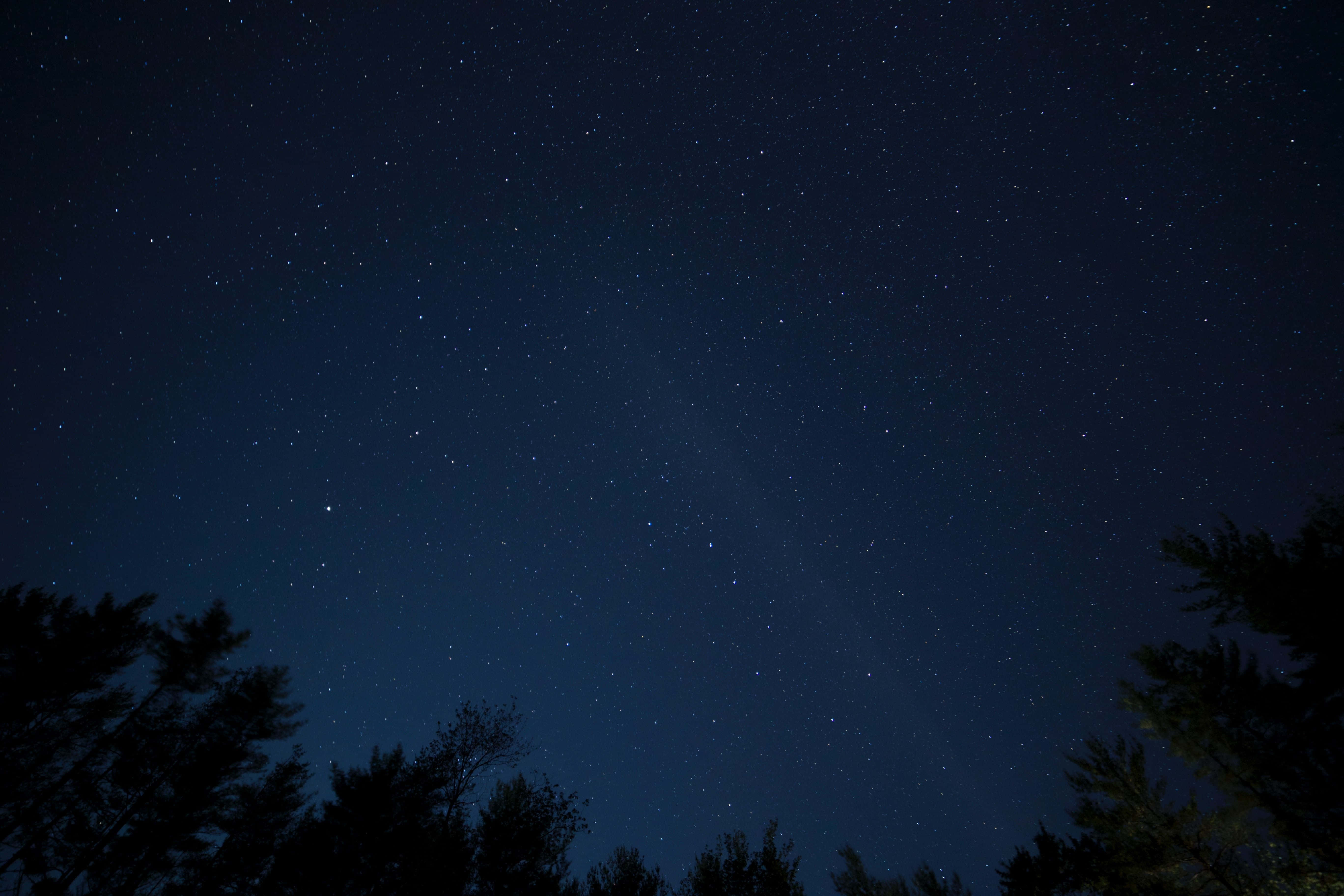 Dark Sky 桌布 壁紙 — 一個繁星點點的夜空，剪影樹木襯托著深邃的藍天，點綴著無數閃爍的星星。