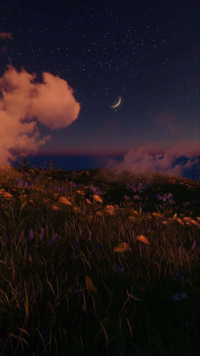 自然 桌布 壁紙 — 一個繁星點點的夜空，有新月和發光的雲彩，俯瞰著山頂上的野花田。