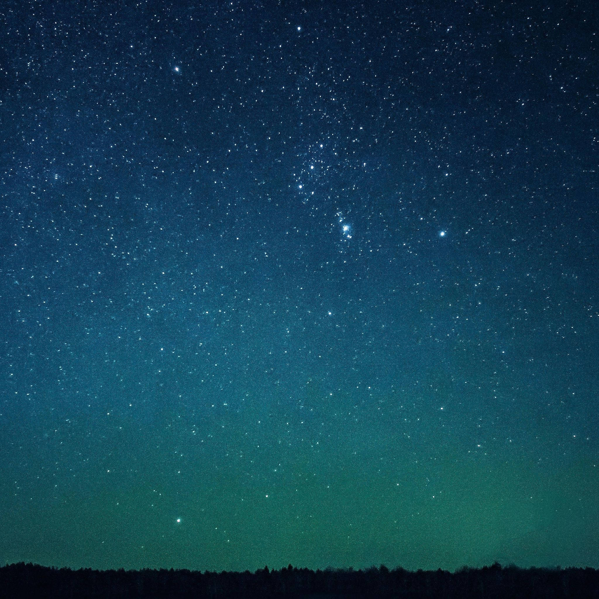 iPad 桌布 壁紙 — 一個繁星點點的夜空，綠色極光在黑暗森林輪廓上方發光。