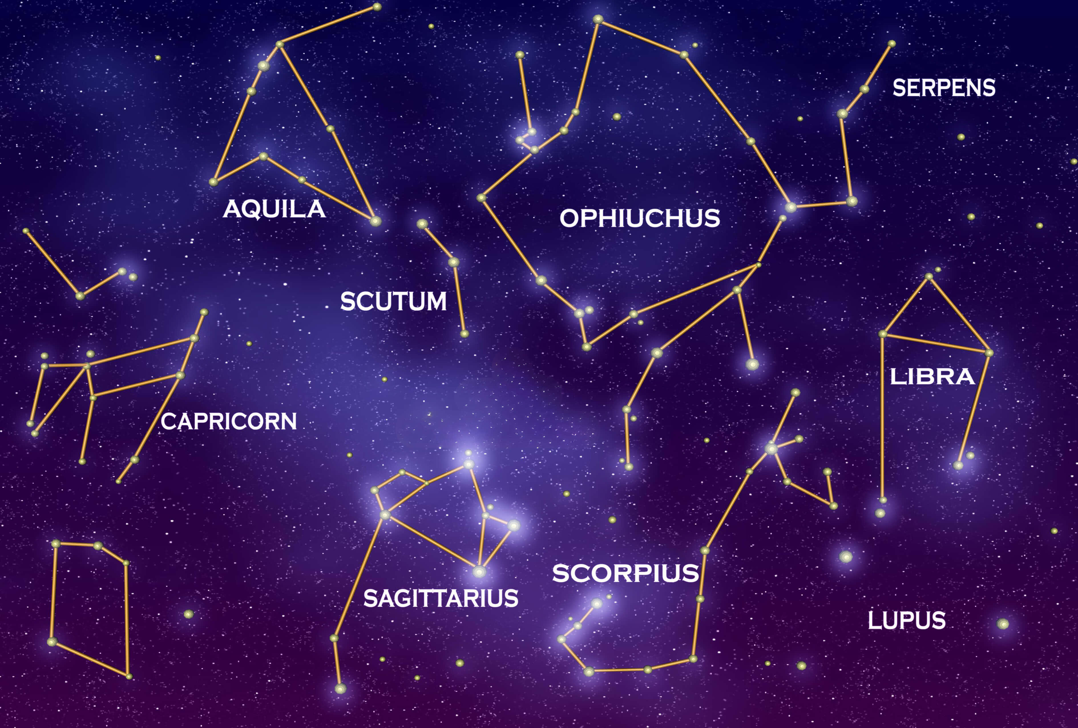 Constellations 桌布 壁紙 — 一個繁星點點的夜空，蛇夫座和天蠍座等發光星座以金色線條連接，背景為深紫色。