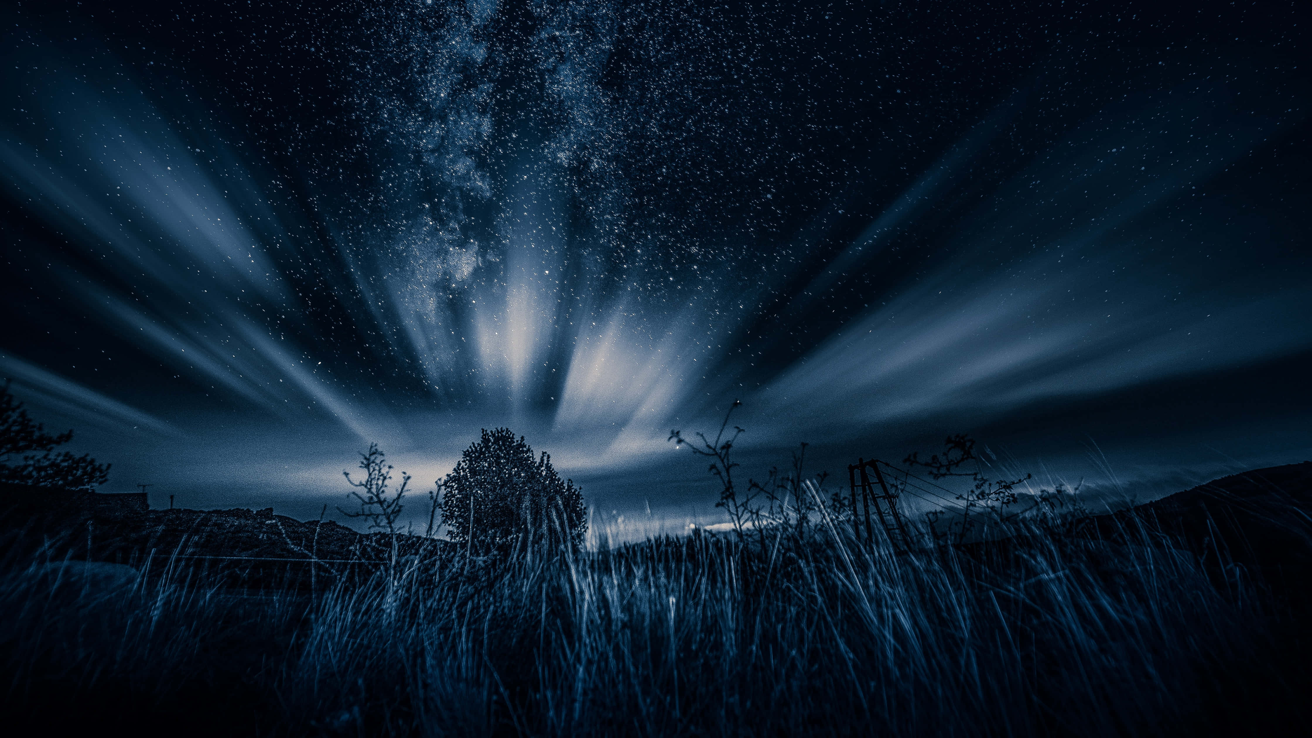 Dark Nature 桌布 壁紙 — 一個繁星點點的夜空，銀河系迸發出燦爛的藍色光束，籠罩著剪影般的高草和樹木的田野。