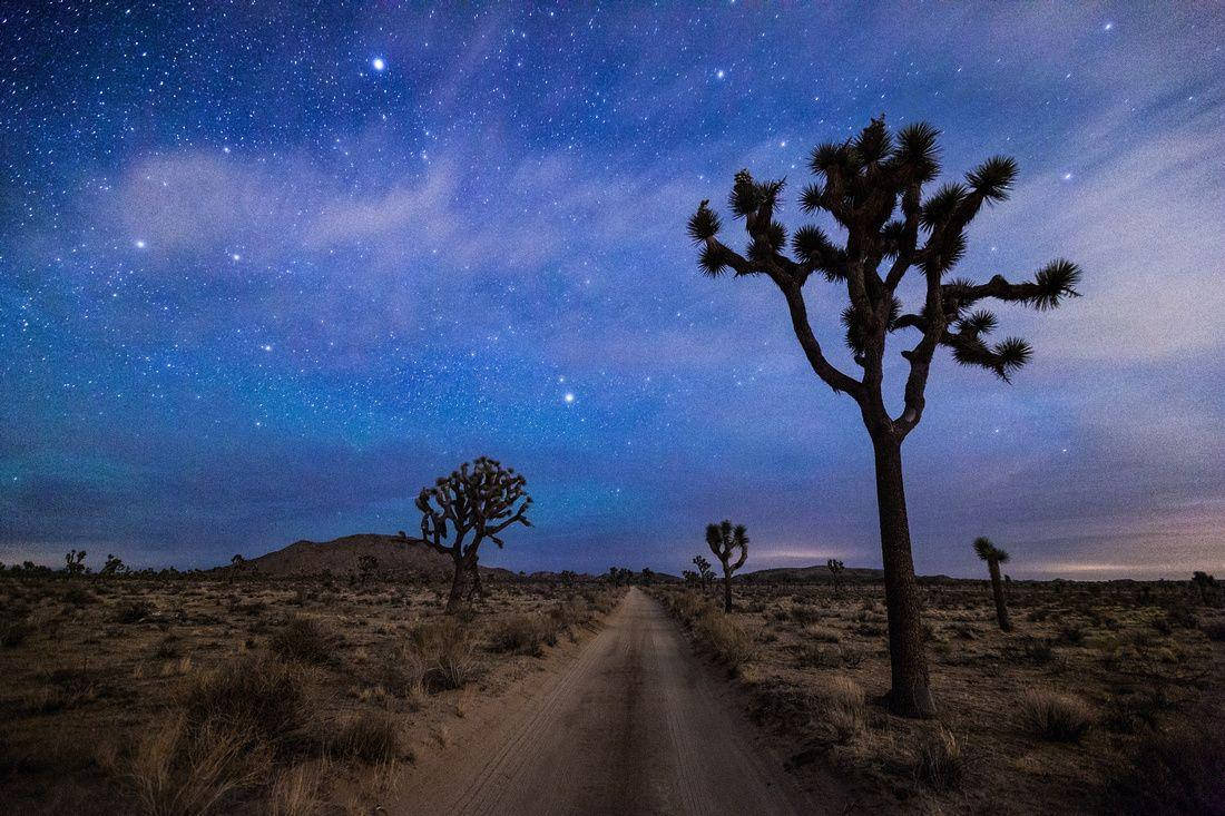 Joshua Tree National Park 桌布 壁紙 — 一個繁星點點的沙漠夜晚，一條泥路通往遠方山丘，兩旁是剪影般的約書亞樹。