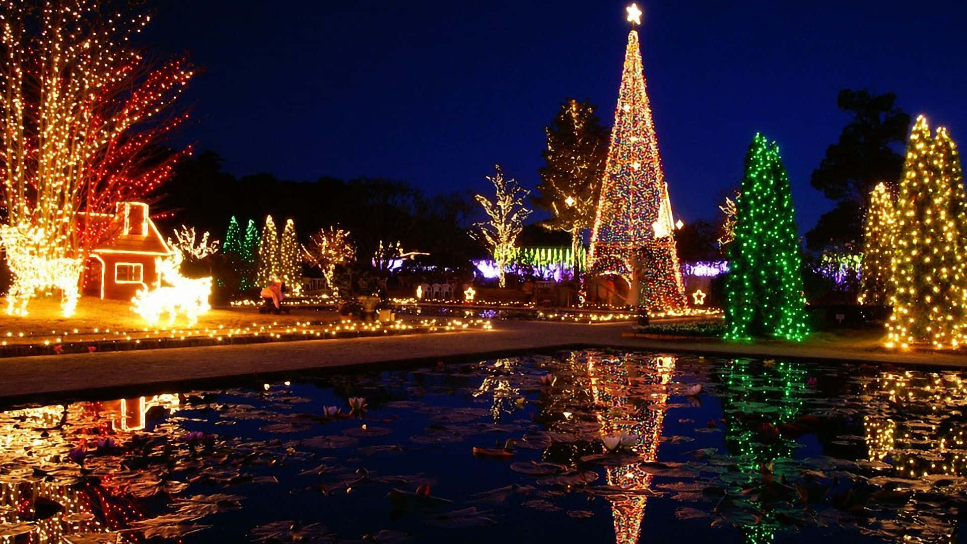 Christmas Village 桌布 壁紙 — 一個耀眼的夜間節日展示，特色是高大的聖誕樹和發光的樹木倒映在有睡蓮的池塘中。