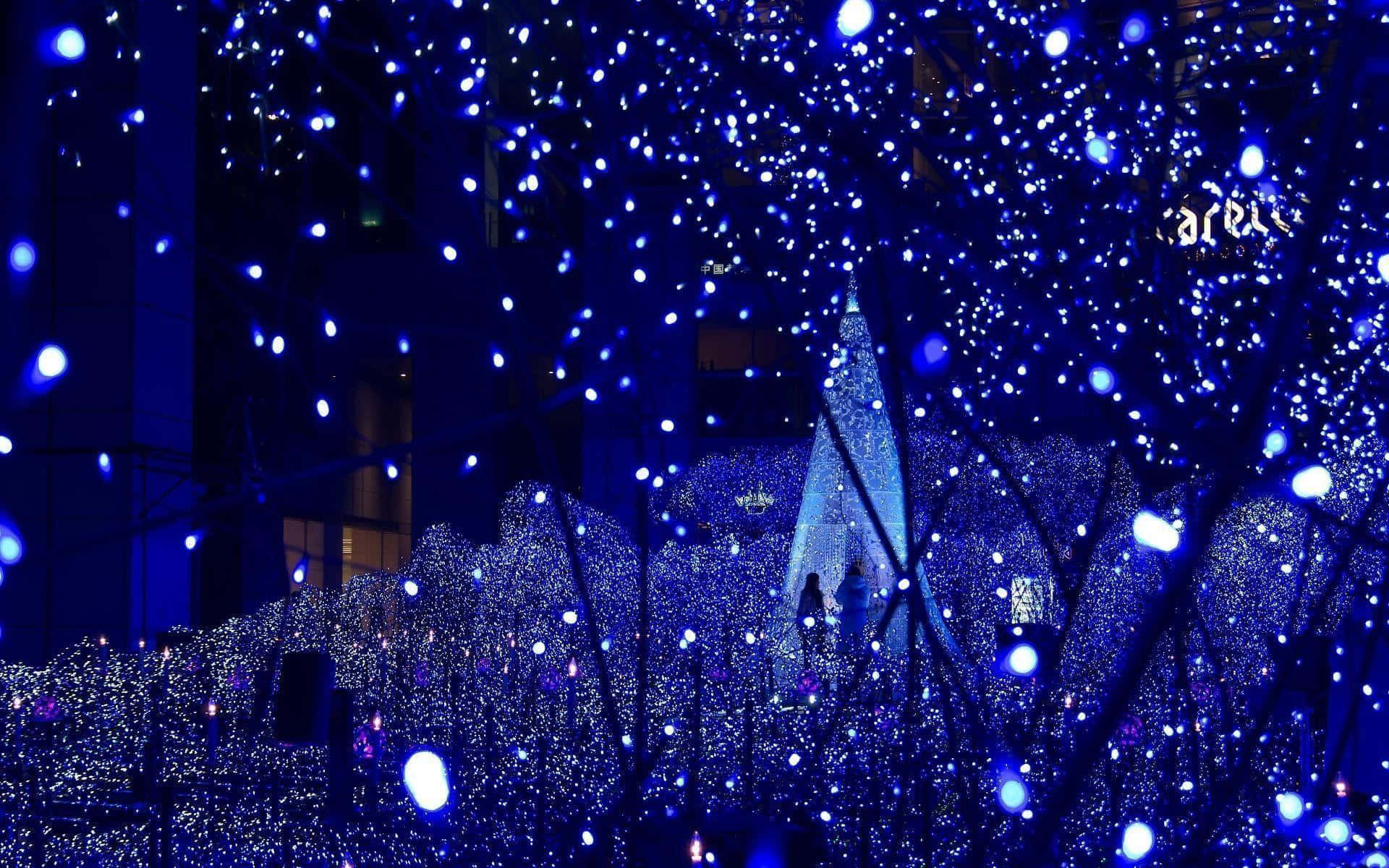 Light 桌布 壁紙 — 一個耀眼的藍色城市夜景，樹木和建築物被閃爍的燈光包裹，營造出神奇的節日氣氛。