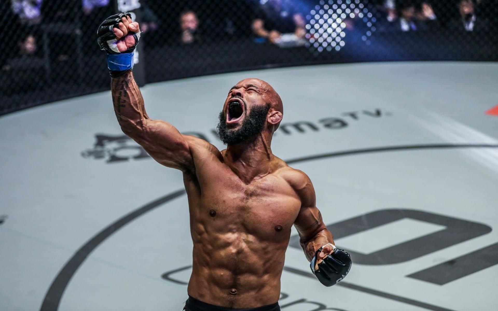 UFC 桌布 壁紙 — 一個肌肉發達、光頭、留鬍子的戰士在籠中勝利地咆哮，高舉戴著手套的拳頭。