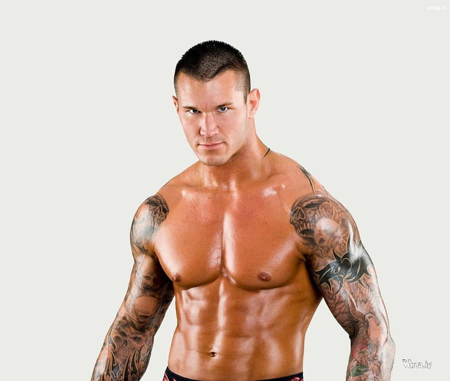 randy orton 桌布 壁紙 — 一個肌肉發達、手臂有刺青的男人，在純淺灰色背景下強烈地凝視。