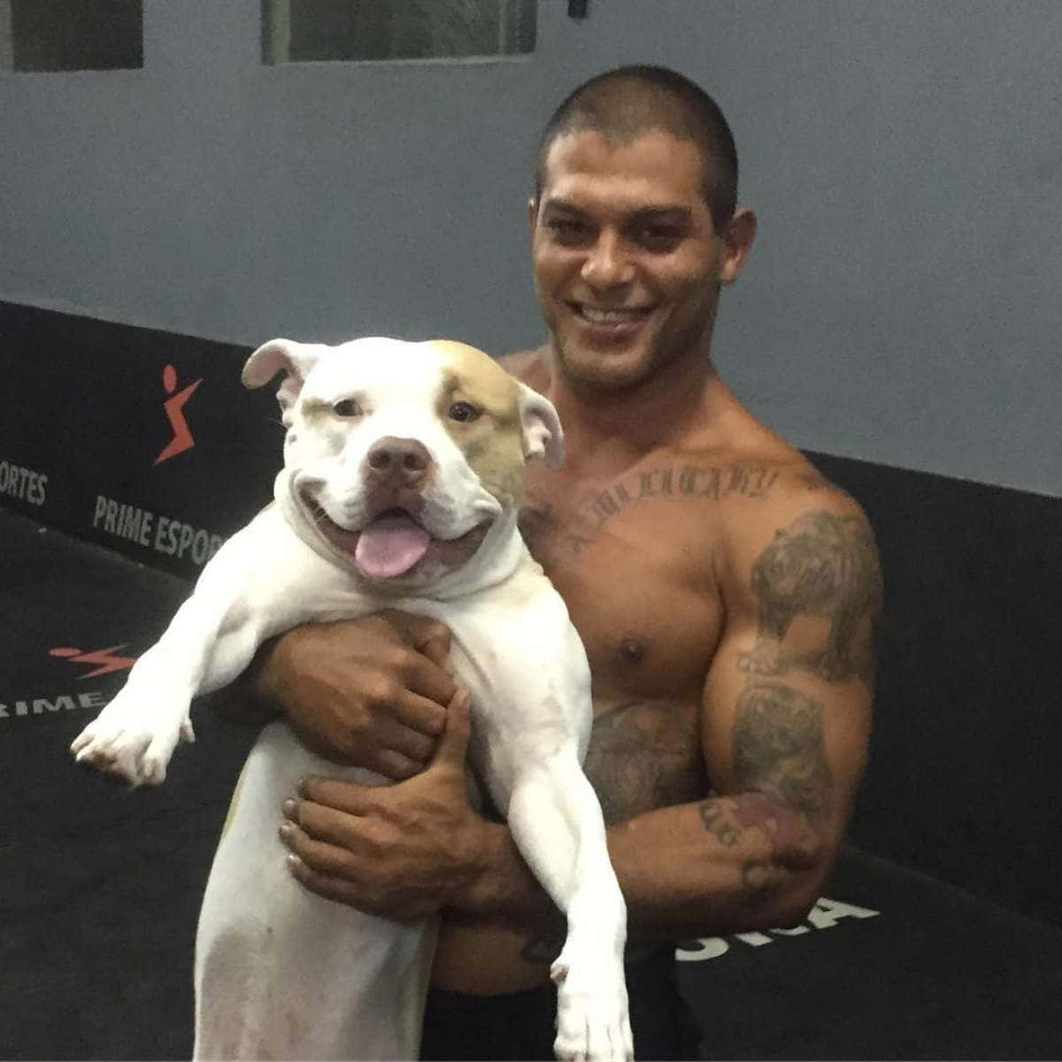 MMA 桌布 壁紙 — 一個肌肉發達、有刺青的男人在健身房裡抱著一隻快樂的白色比特犬，笑容燦爛。