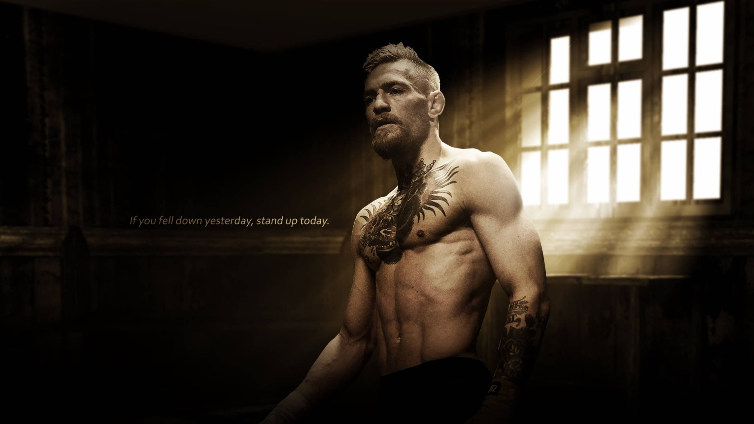 Mcgregor 桌布 壁紙 — 一個肌肉發達、有刺青的男人坐在昏暗的房間裡，陽光從他身後的窗戶射進來。