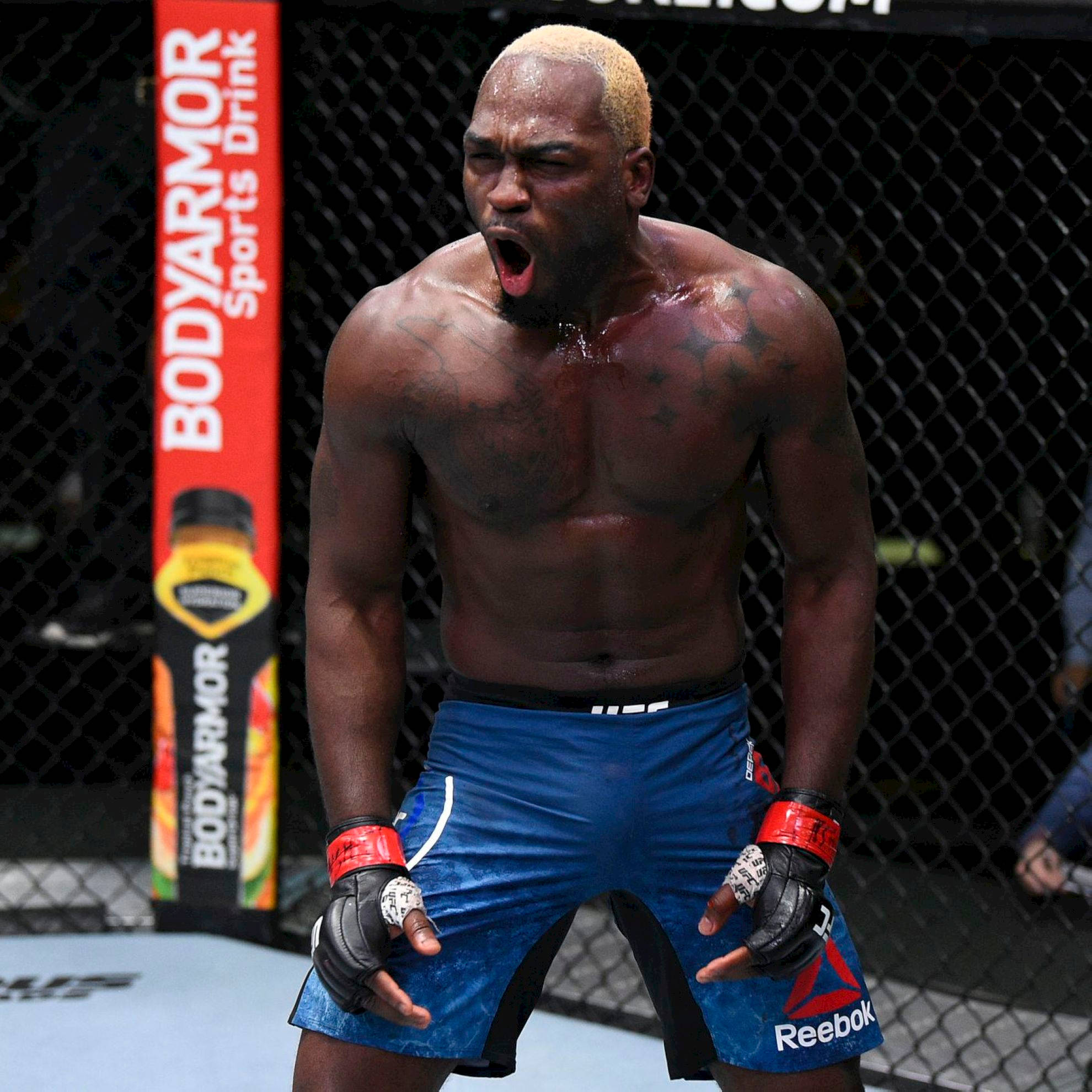 Champion 桌布 壁紙 — 一個肌肉發達、漂白頭髮的鬥士在UFC八角籠內勝利咆哮，身後有BodyArmor的橫幅。