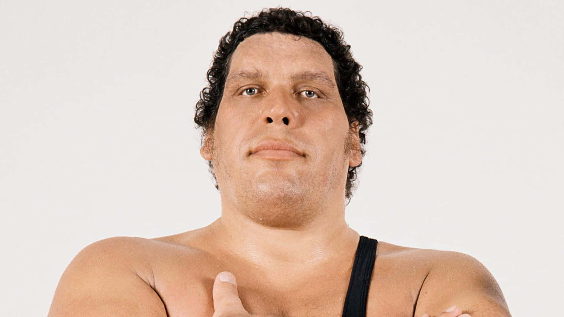 Andre The Giant 桌布 壁紙 — 一個肌肉發達、留著黑色捲髮、身穿黑色背心的男人，在純白色背景前凝視著鏡頭。