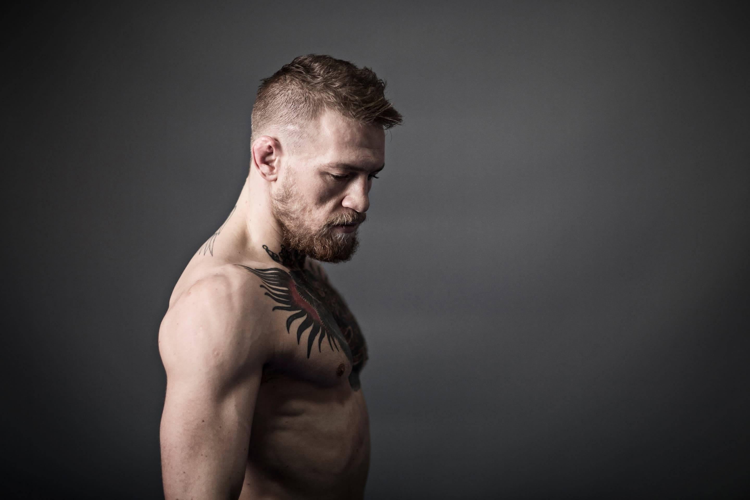 Mcgregor 桌布 壁紙 — 一個肌肉發達、留鬍子、肩膀有刺青的男人，側身站在深灰色工作室背景前。